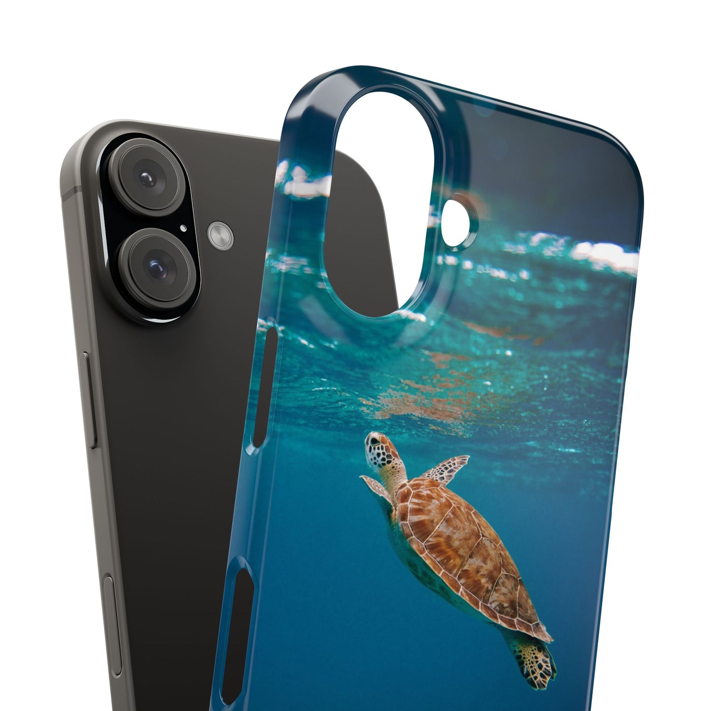 Sea Turtle Cajasol - Perfect for Beach Lovers