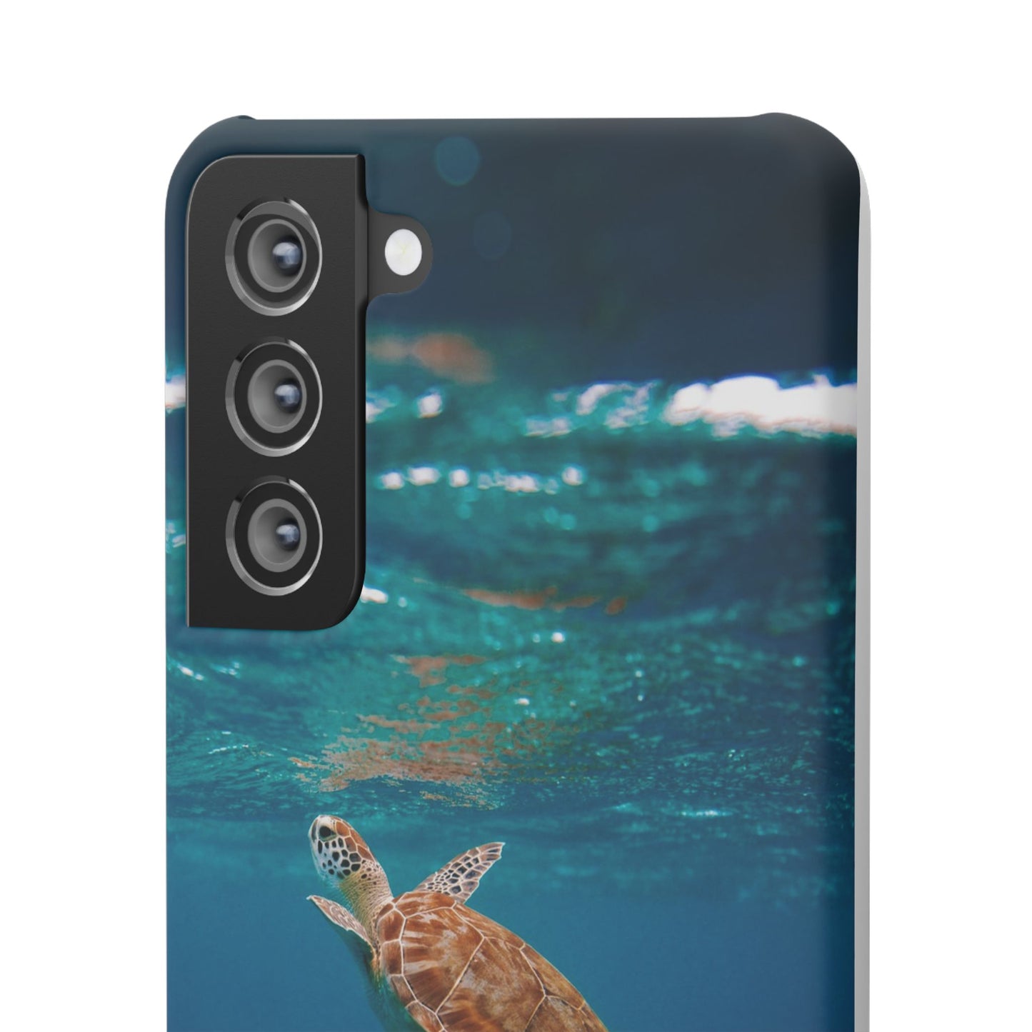 Sea Turtle Cajasol - Perfect for Beach Lovers