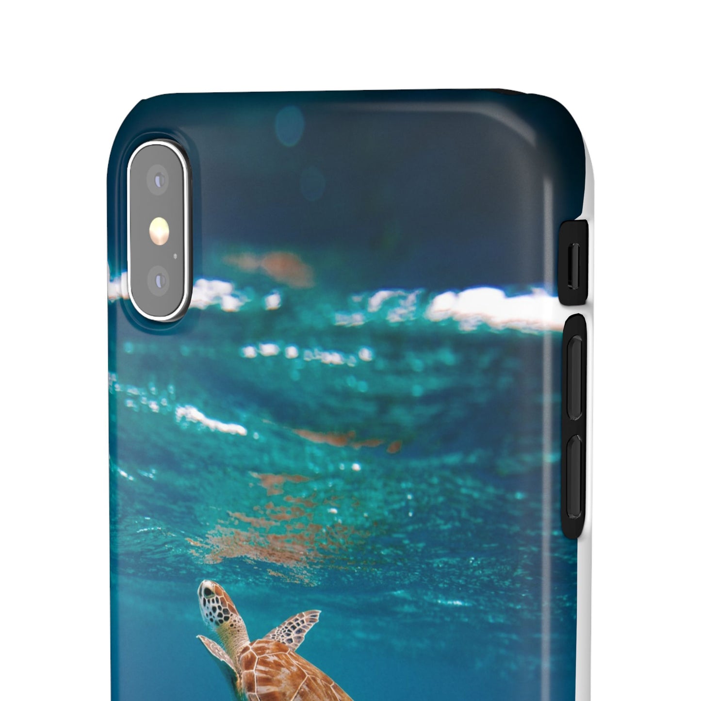 Sea Turtle Cajasol - Perfect for Beach Lovers