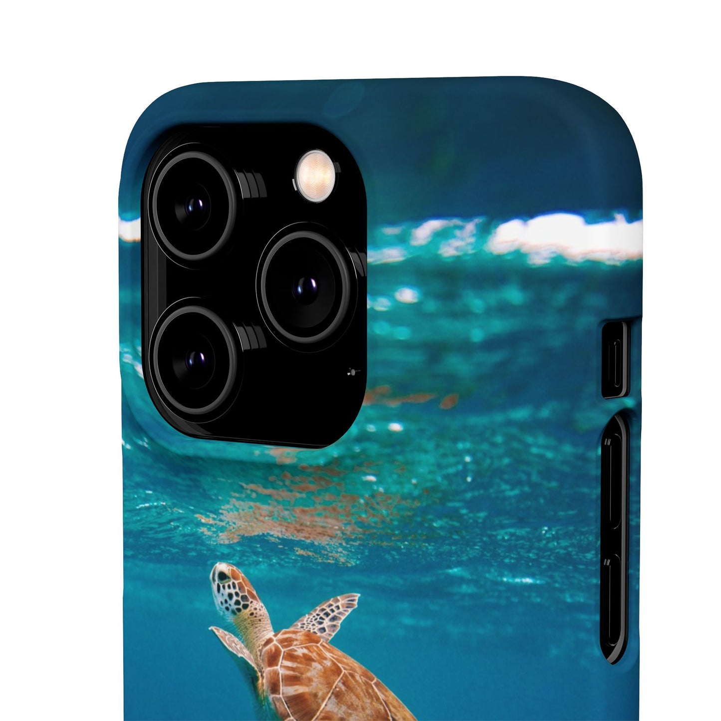 Sea Turtle Cajasol - Perfect for Beach Lovers