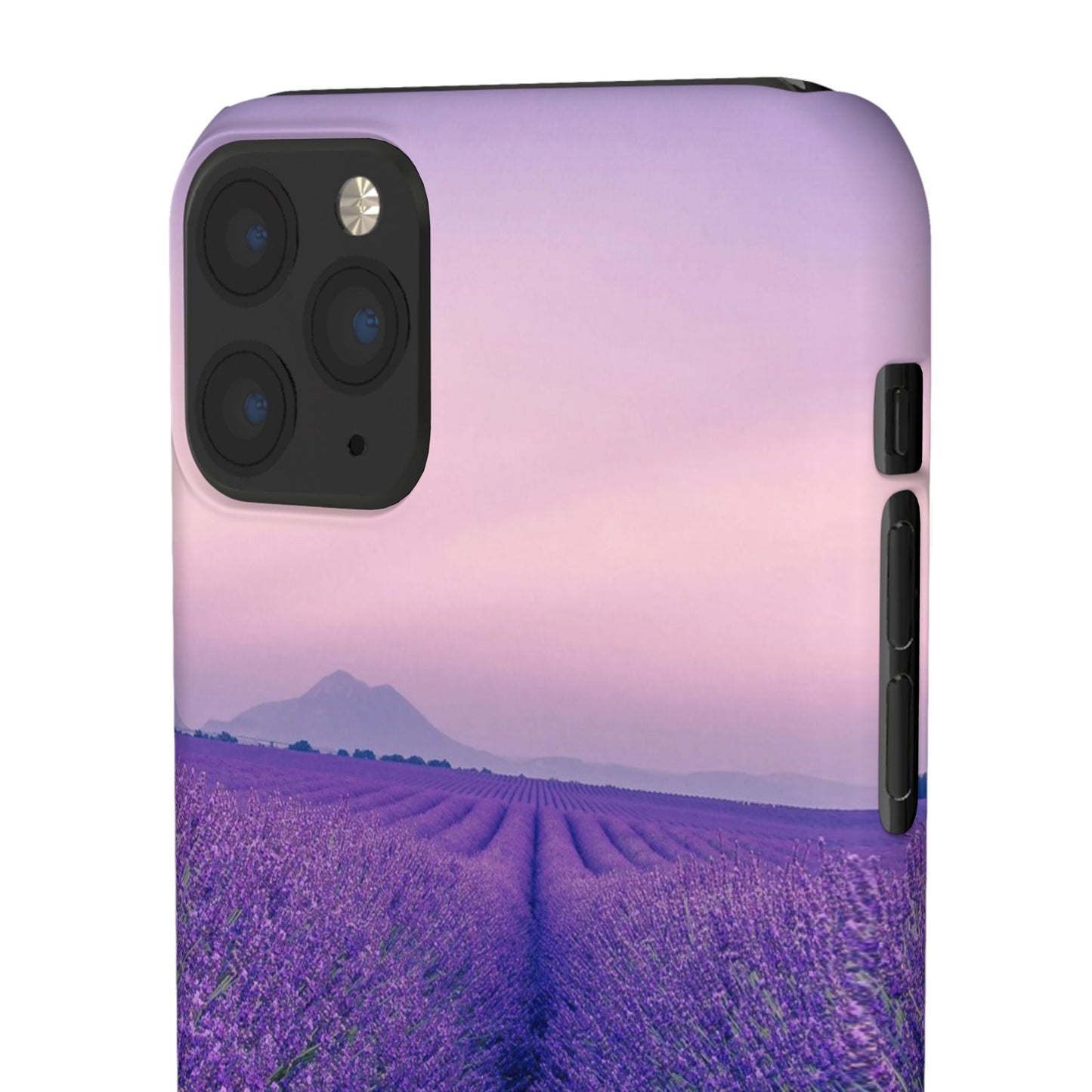 Lavender Fields Cajasol - A Floral Touch for Nature Lovers