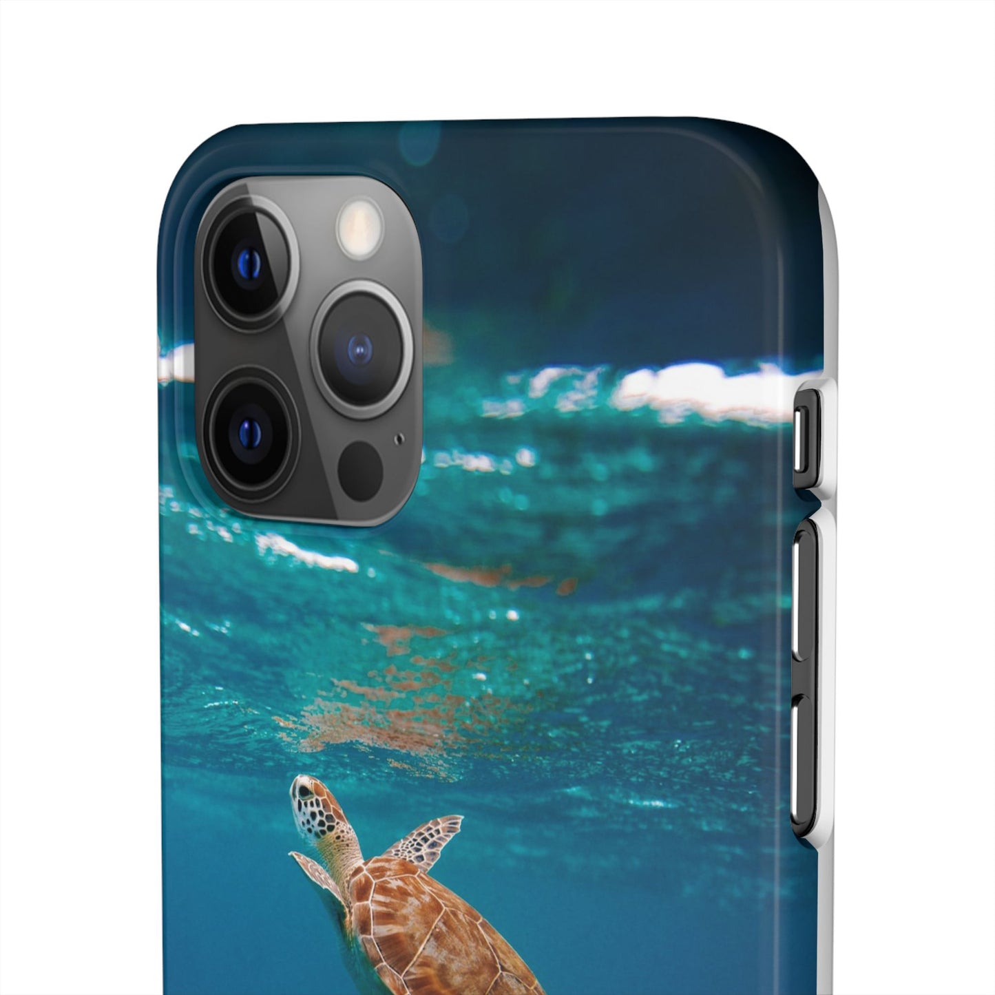 Sea Turtle Cajasol - Perfect for Beach Lovers