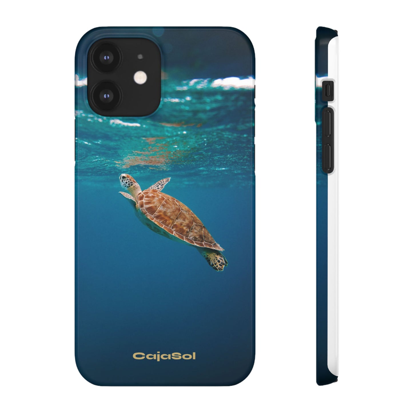Sea Turtle Cajasol - Perfect for Beach Lovers