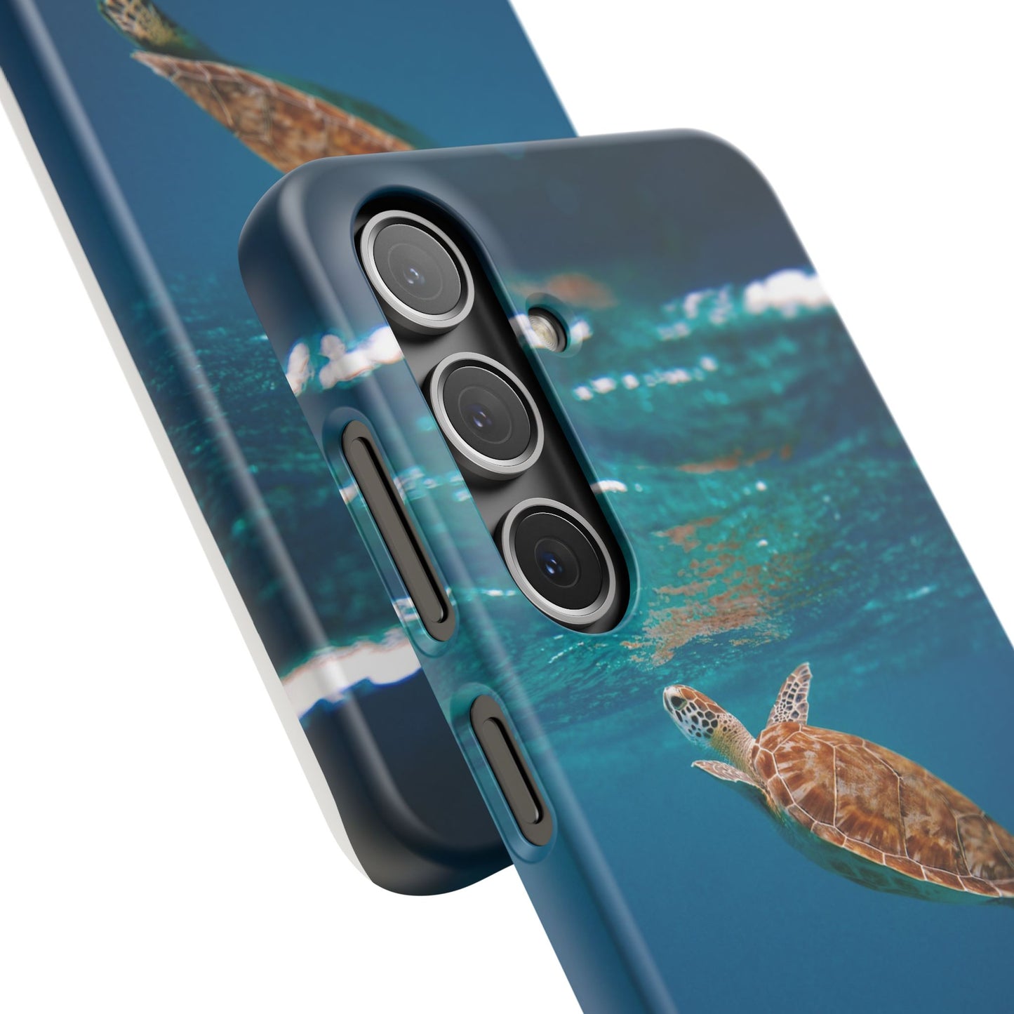 Sea Turtle Cajasol - Perfect for Beach Lovers