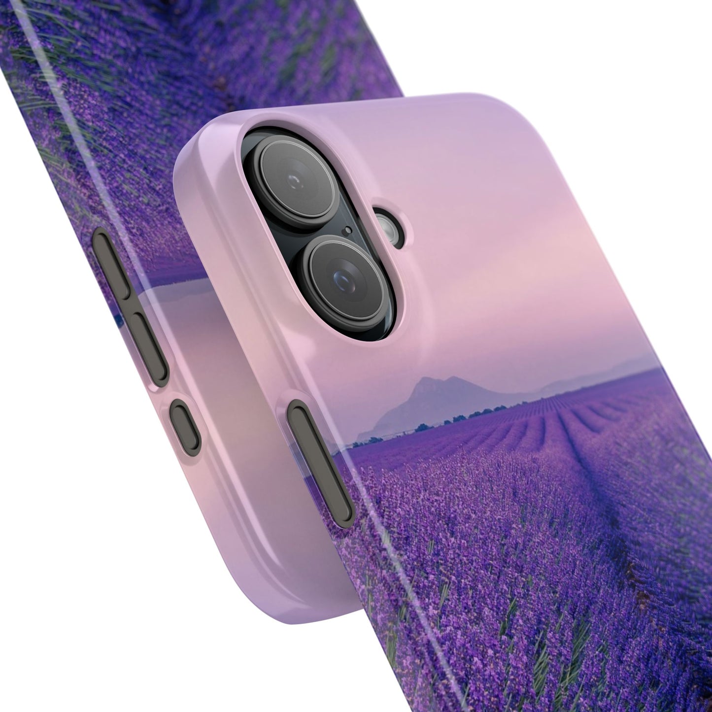 Lavender Fields Cajasol - A Floral Touch for Nature Lovers