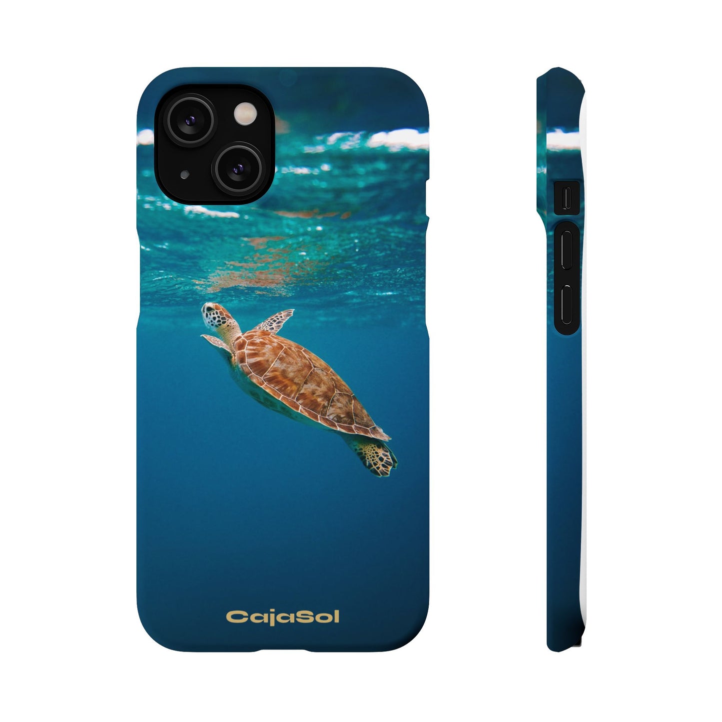 Sea Turtle Cajasol - Perfect for Beach Lovers