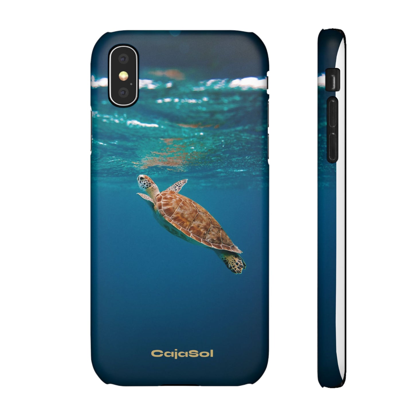 Sea Turtle Cajasol - Perfect for Beach Lovers