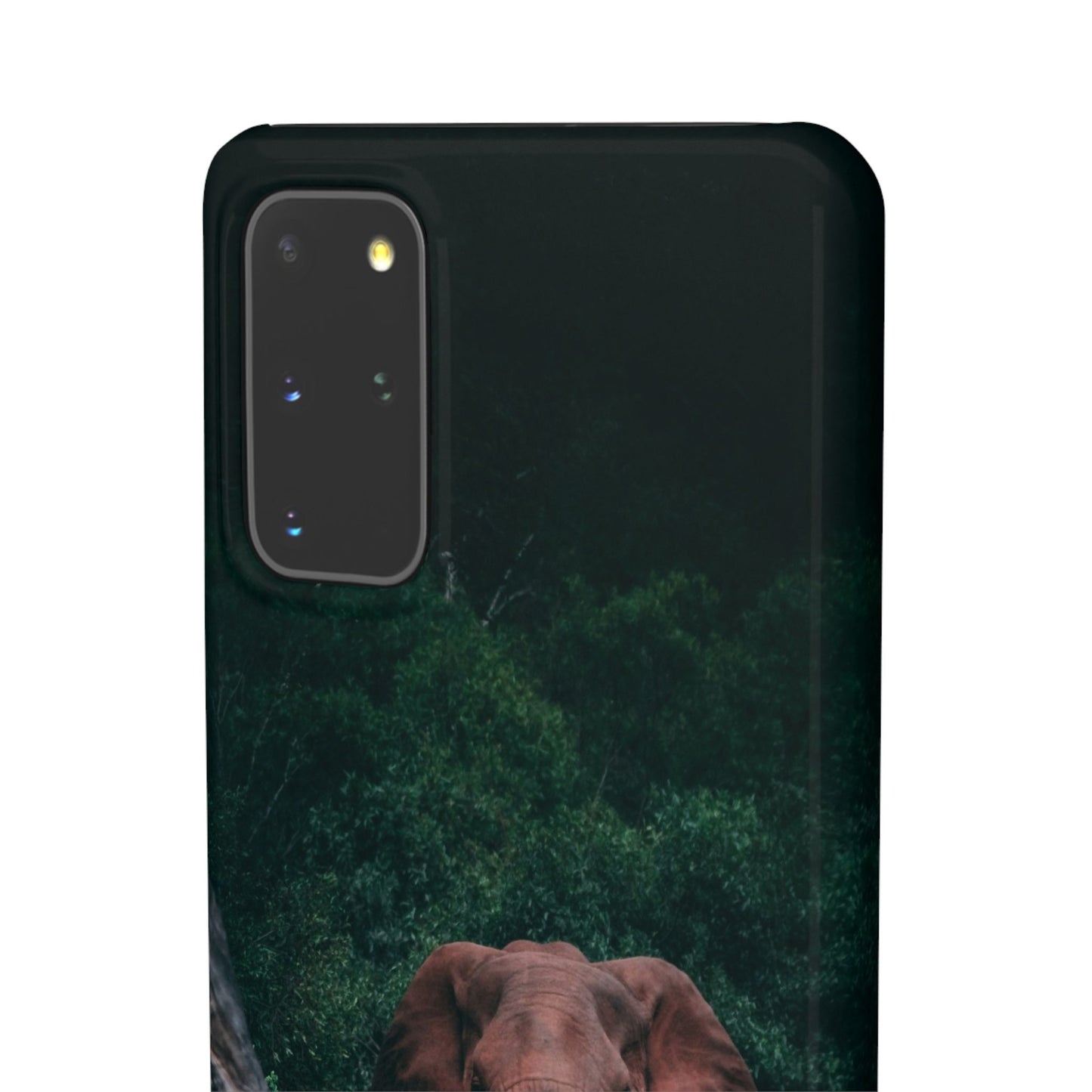 Wildlife Lover's Cajasol - Majestic Elephant