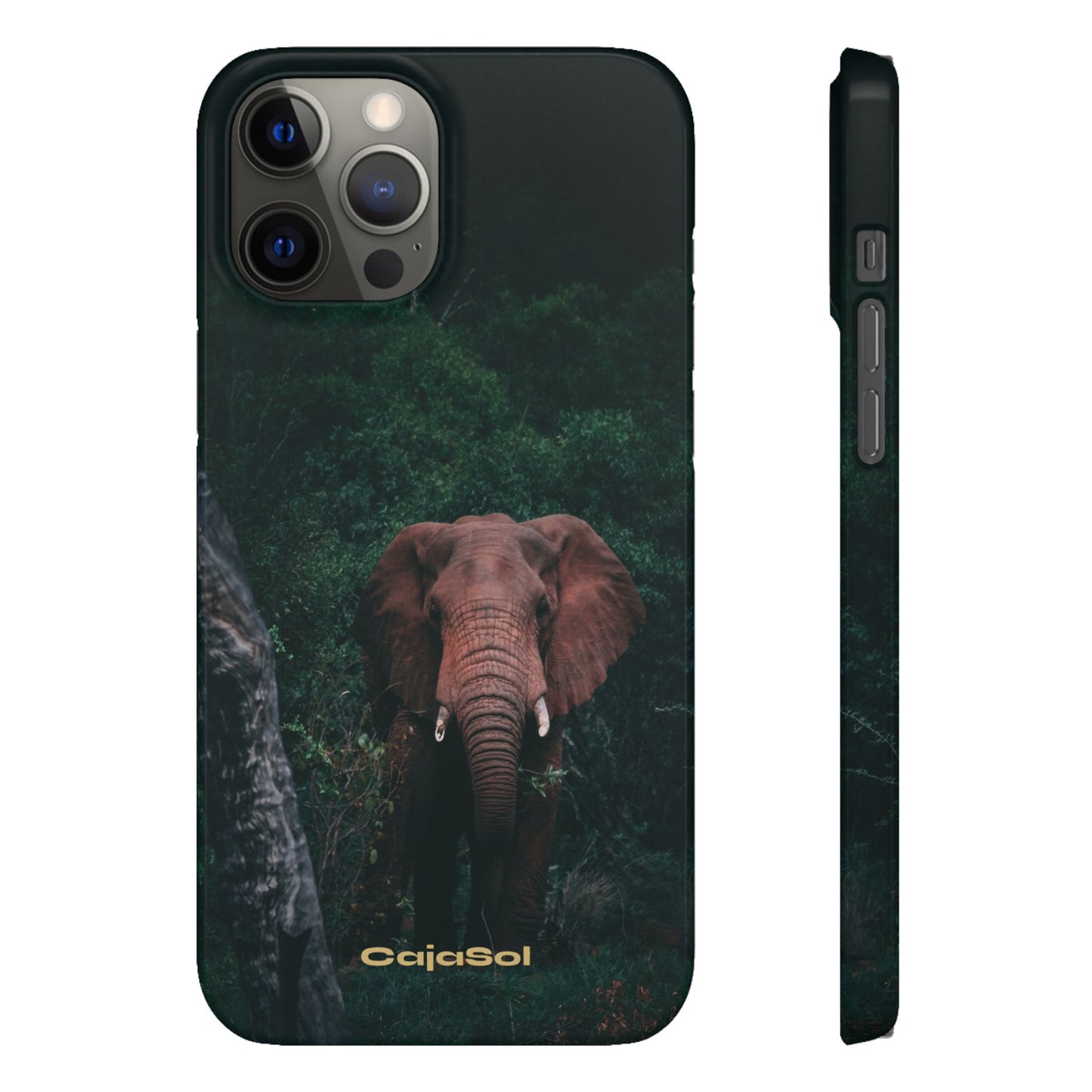 Wildlife Lover's Cajasol - Majestic Elephant
