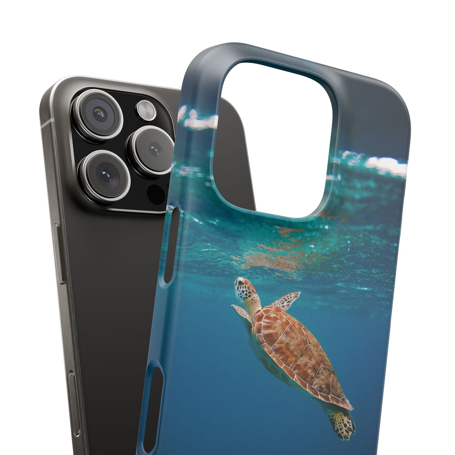 Sea Turtle Cajasol - Perfect for Beach Lovers