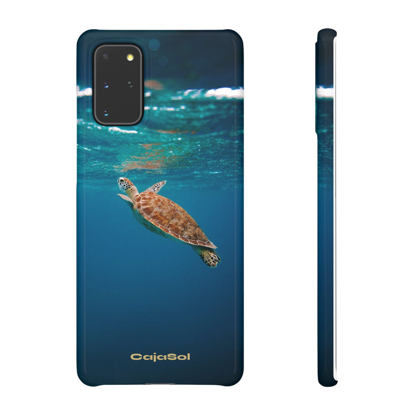 Sea Turtle Cajasol - Perfect for Beach Lovers