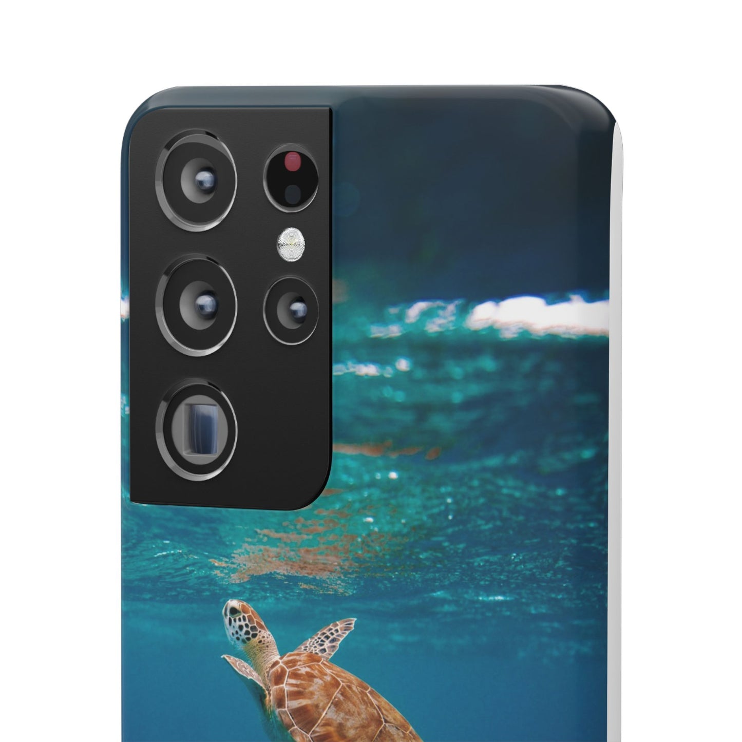 Sea Turtle Cajasol - Perfect for Beach Lovers