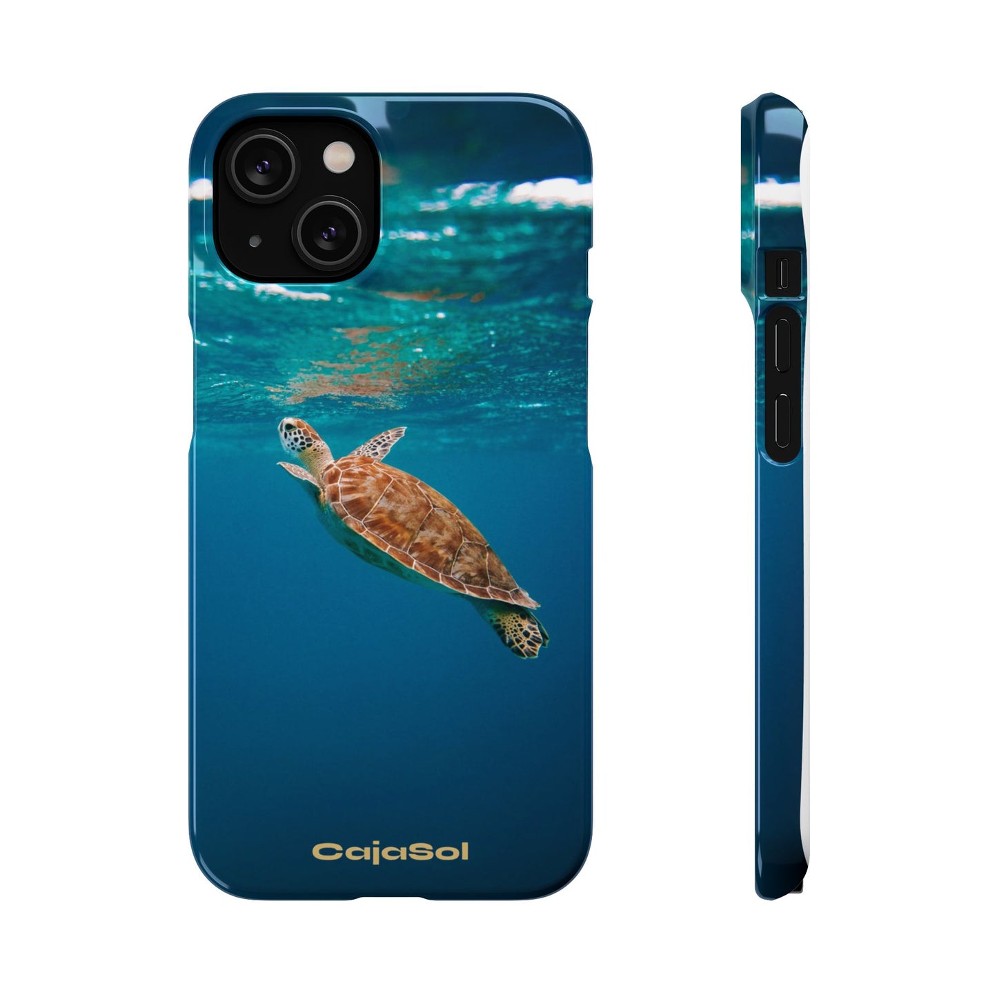 Sea Turtle Cajasol - Perfect for Beach Lovers