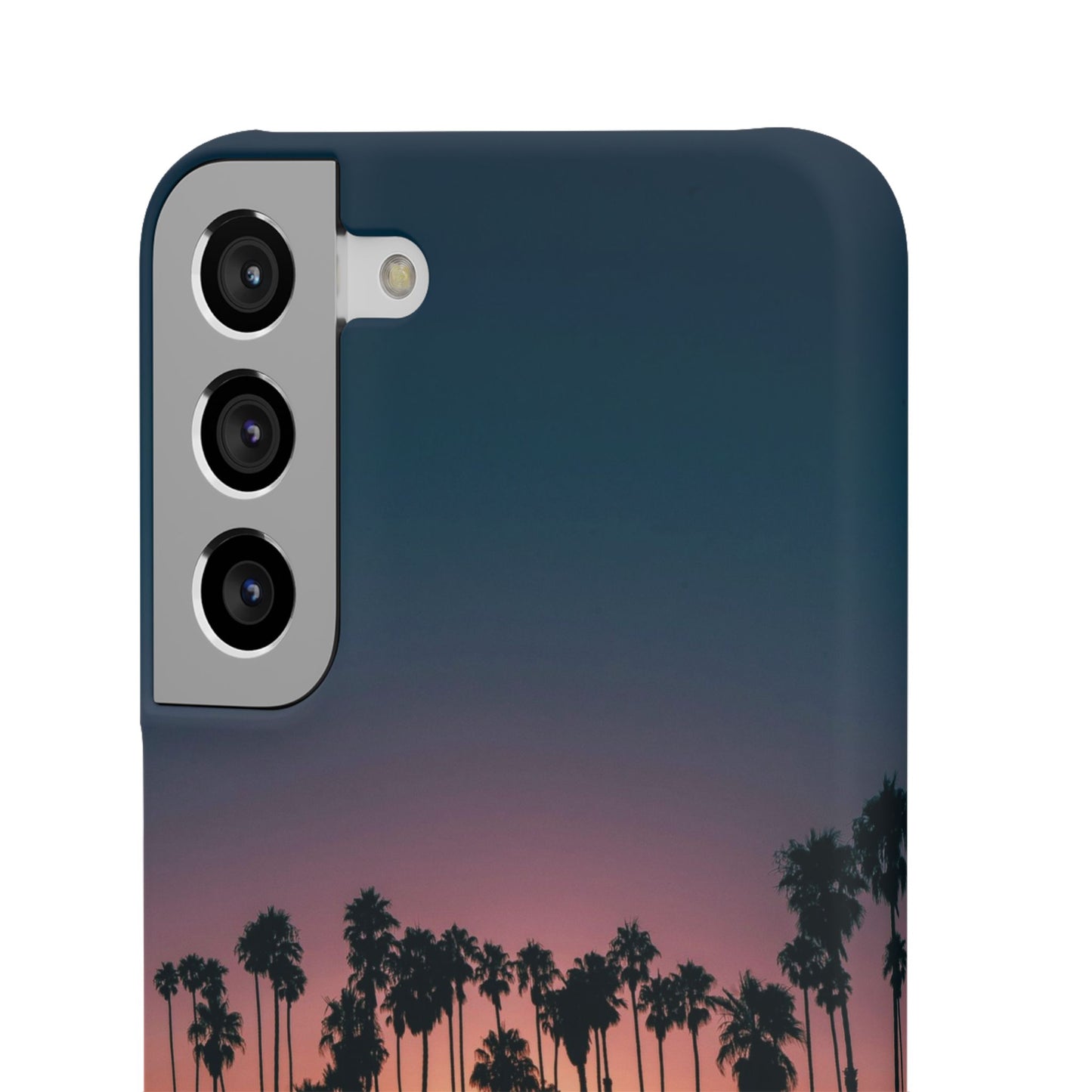 Tropical Sunset Cajasol - Vibrant Palm Tree