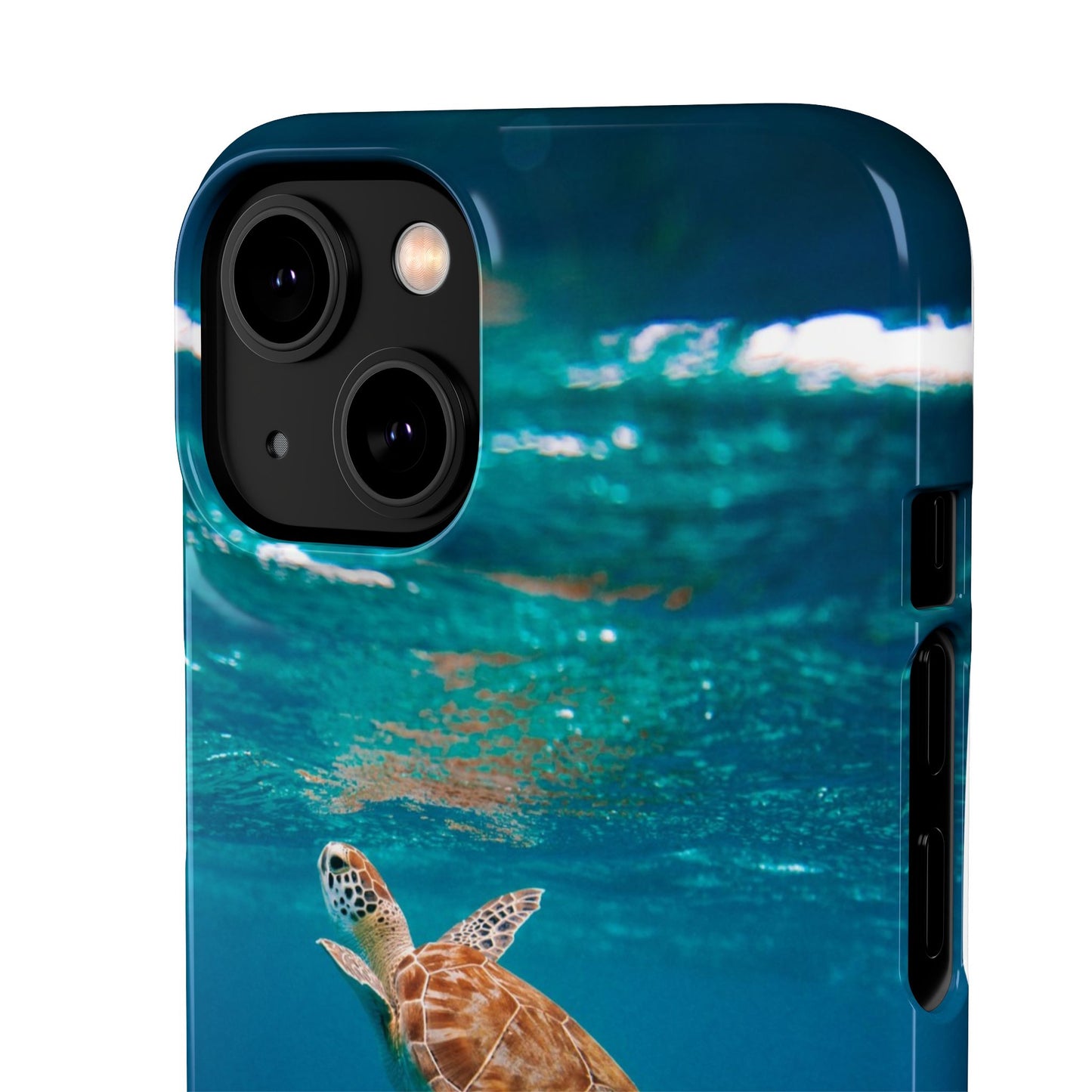 Sea Turtle Cajasol - Perfect for Beach Lovers