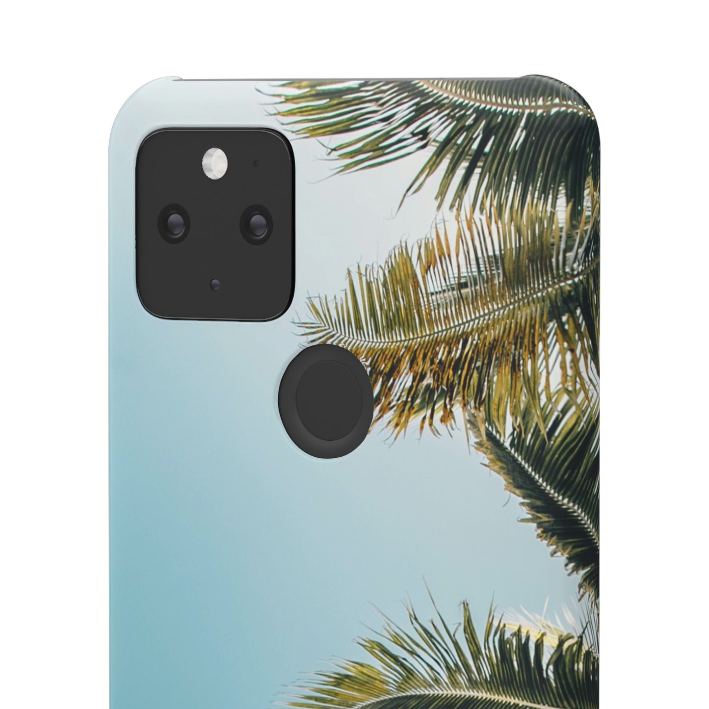 Tropical Palm Cajasol – Summer Vibes for Beach Lovers