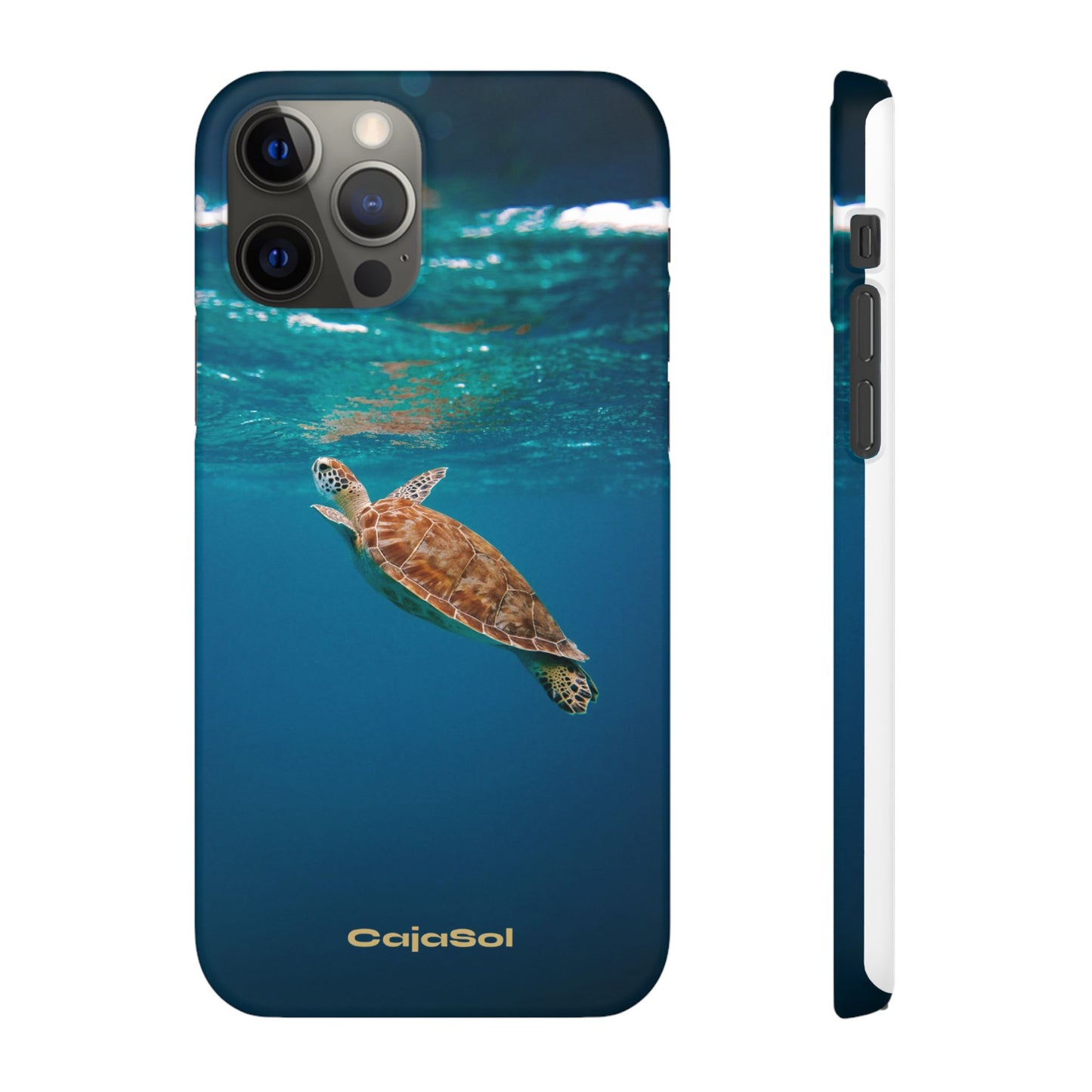 Sea Turtle Cajasol - Perfect for Beach Lovers
