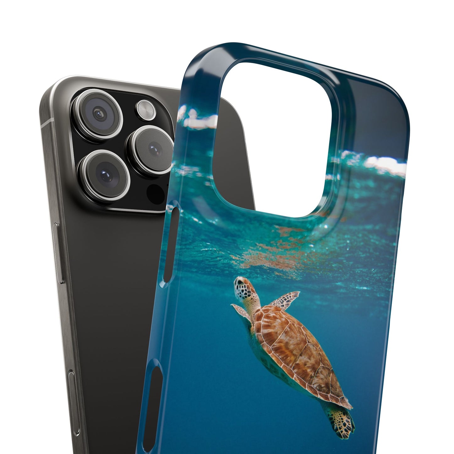Sea Turtle Cajasol - Perfect for Beach Lovers