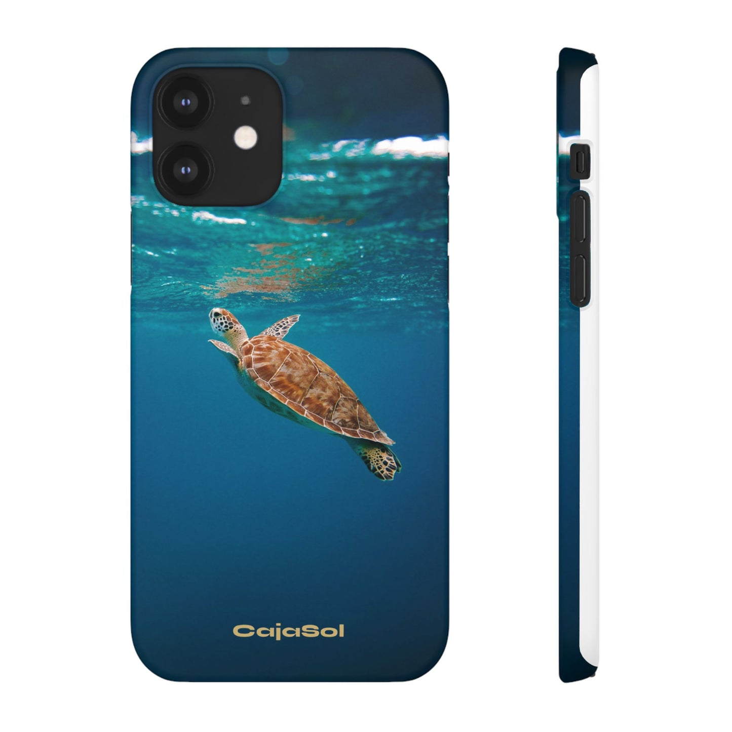 Sea Turtle Cajasol - Perfect for Beach Lovers