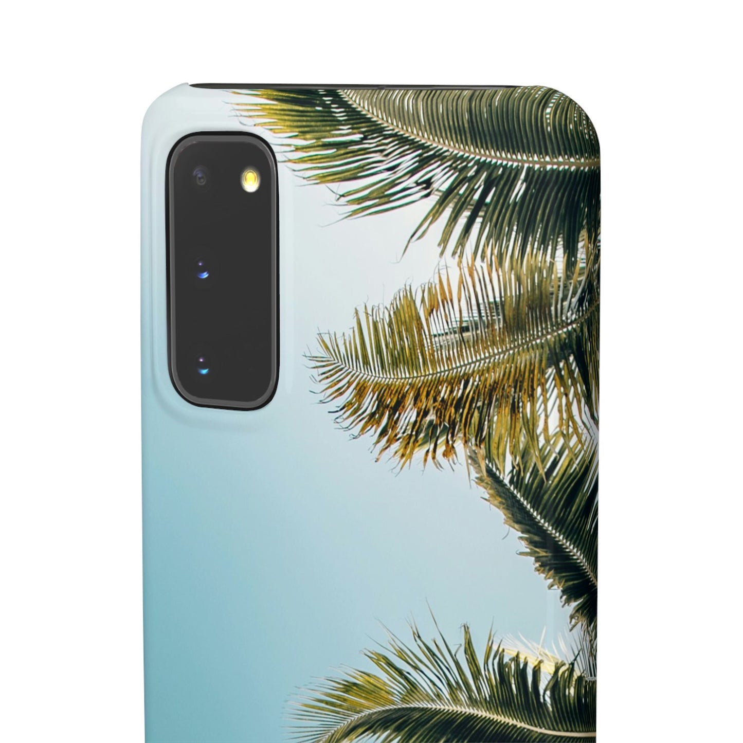 Tropical Palm Cajasol – Summer Vibes for Beach Lovers