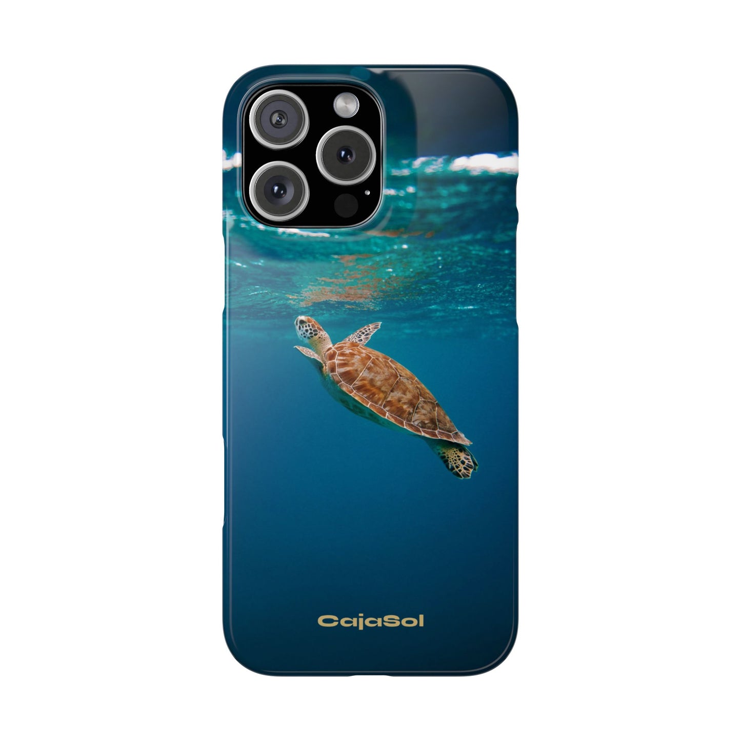Sea Turtle Cajasol - Perfect for Beach Lovers