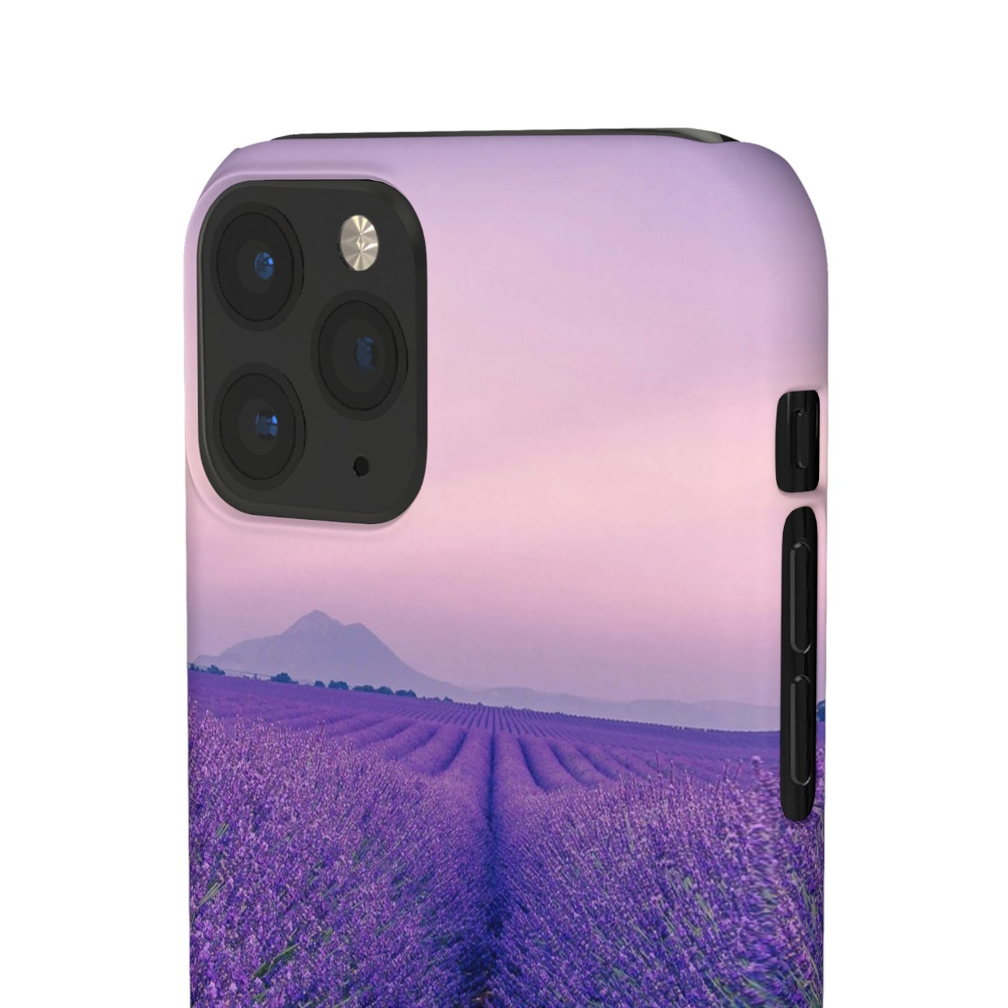 Lavender Fields Cajasol - A Floral Touch for Nature Lovers