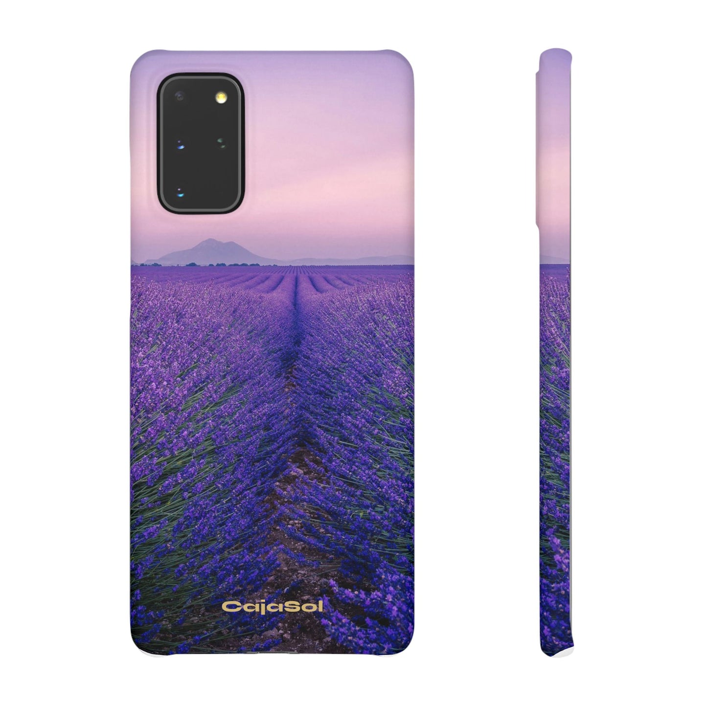 Lavender Fields Cajasol - A Floral Touch for Nature Lovers
