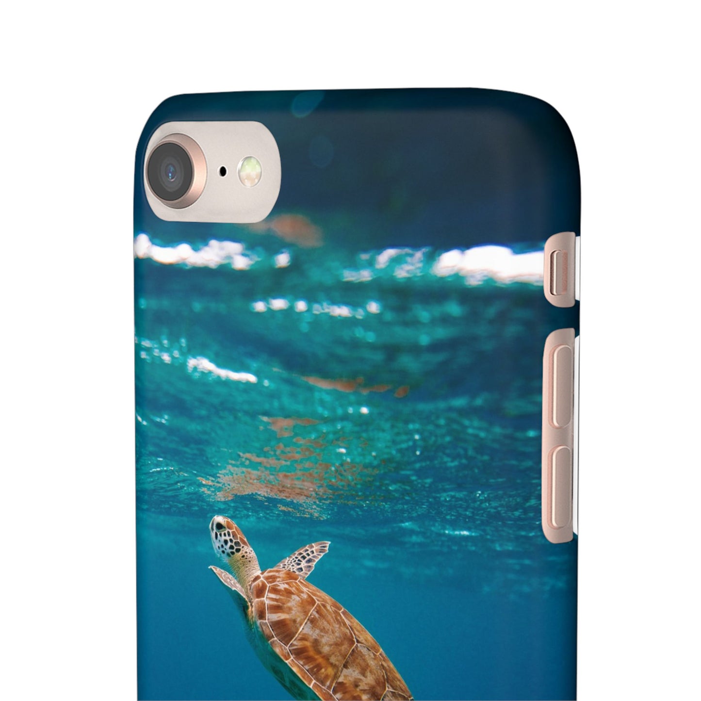 Sea Turtle Cajasol - Perfect for Beach Lovers