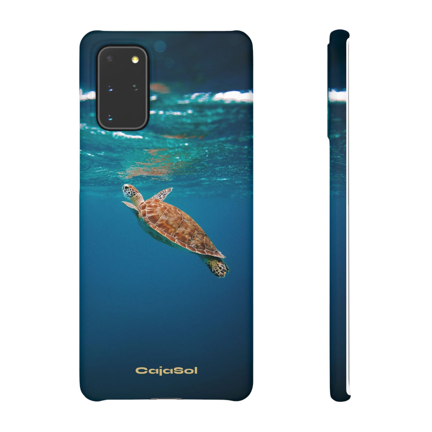 Sea Turtle Cajasol - Perfect for Beach Lovers