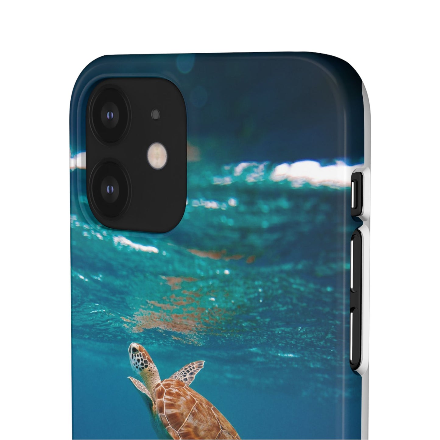 Sea Turtle Cajasol - Perfect for Beach Lovers