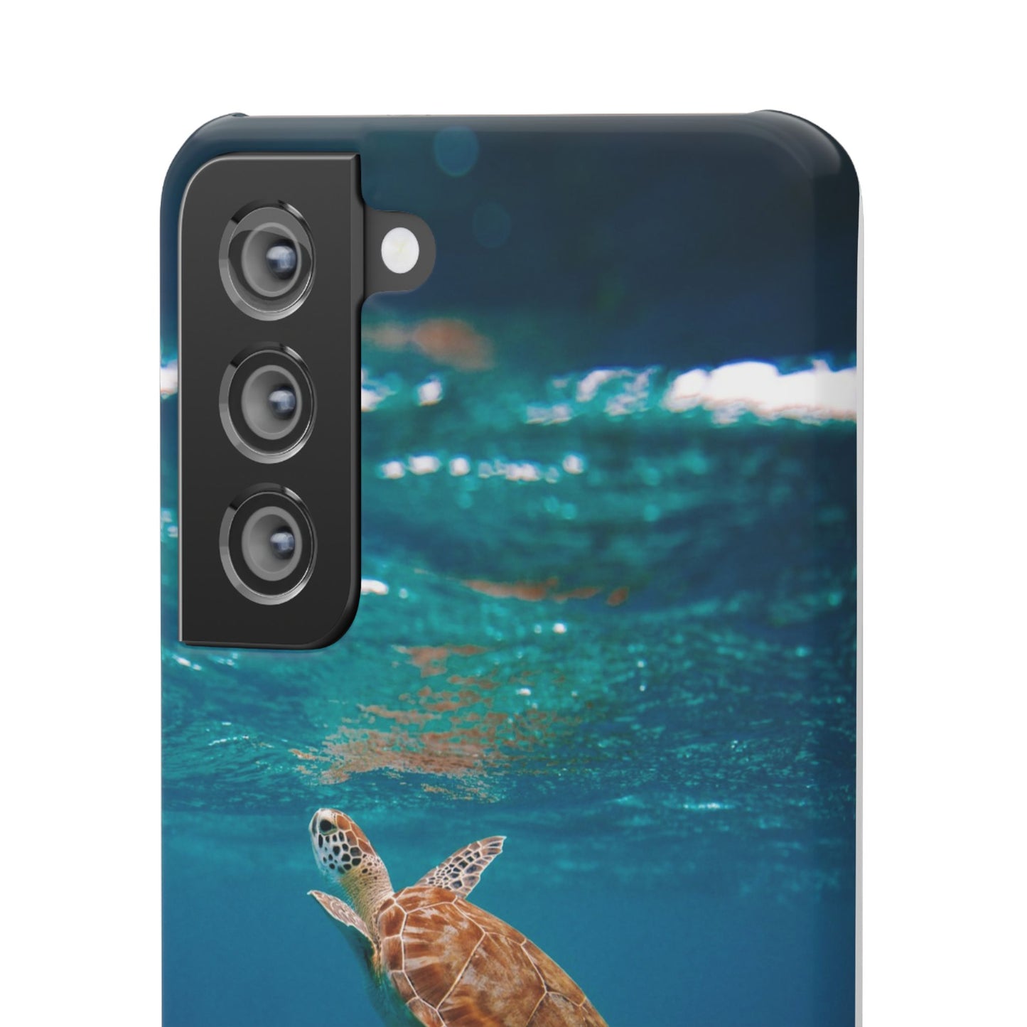 Sea Turtle Cajasol - Perfect for Beach Lovers