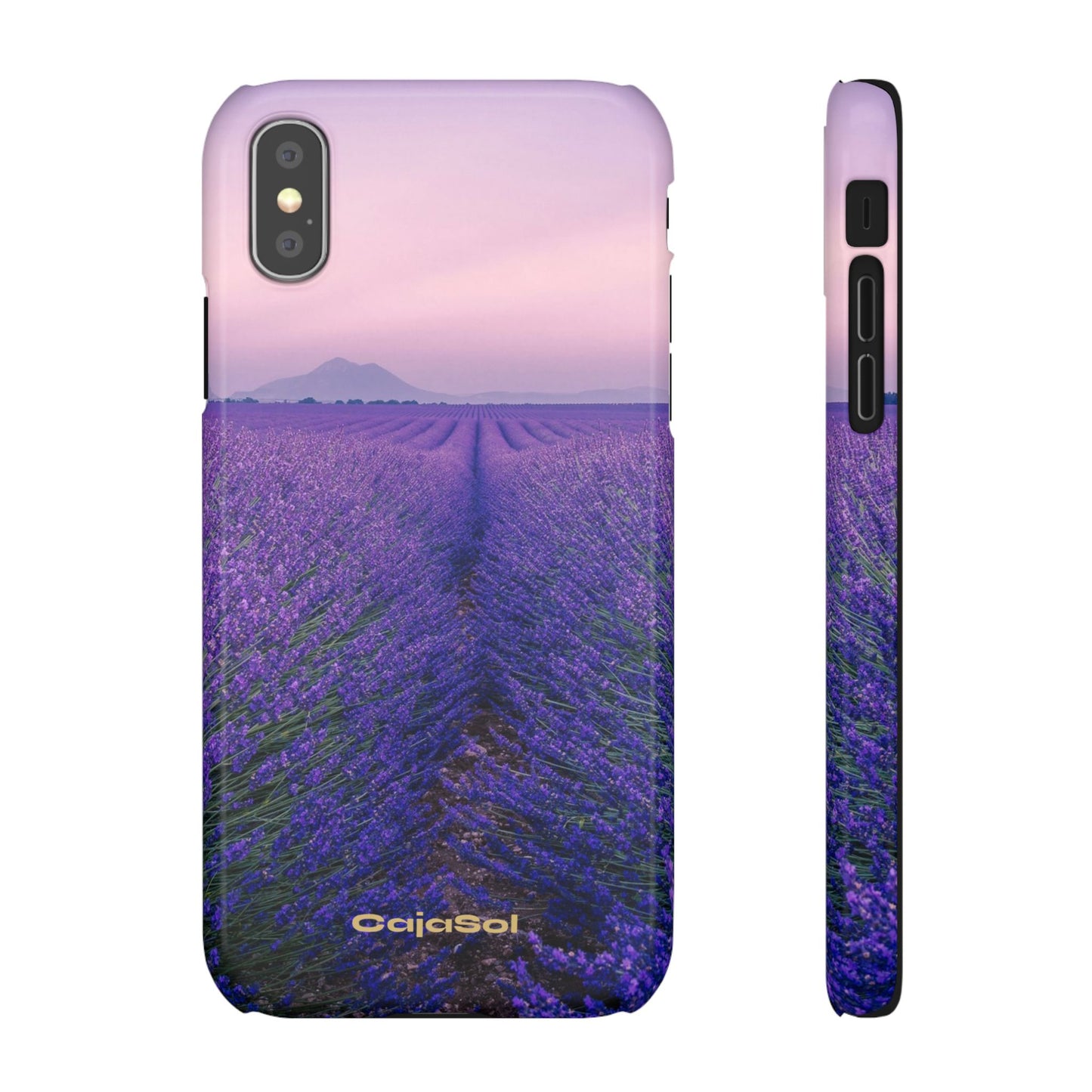Lavender Fields Cajasol - A Floral Touch for Nature Lovers