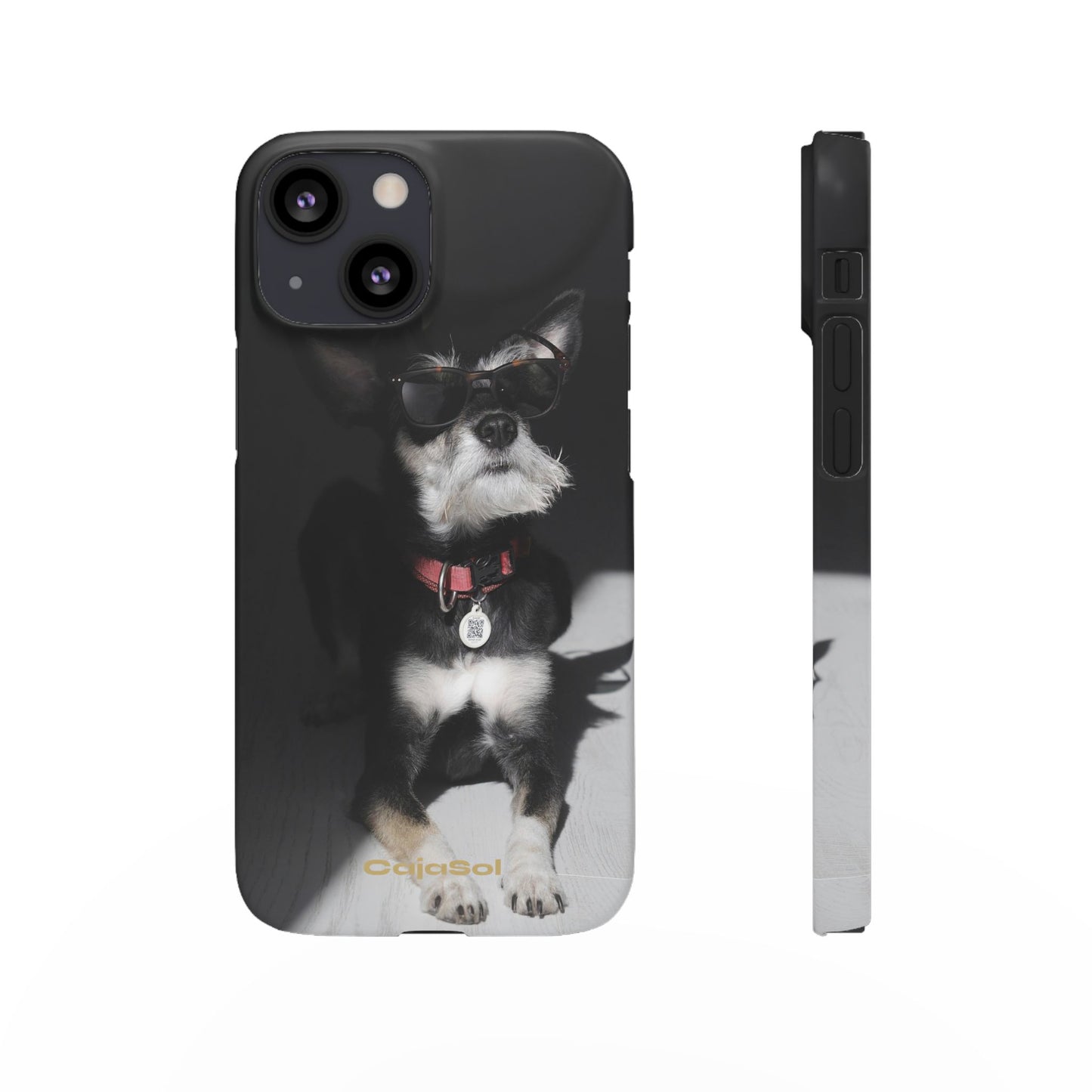 Cool Dog Cajasol - Stylish Pet