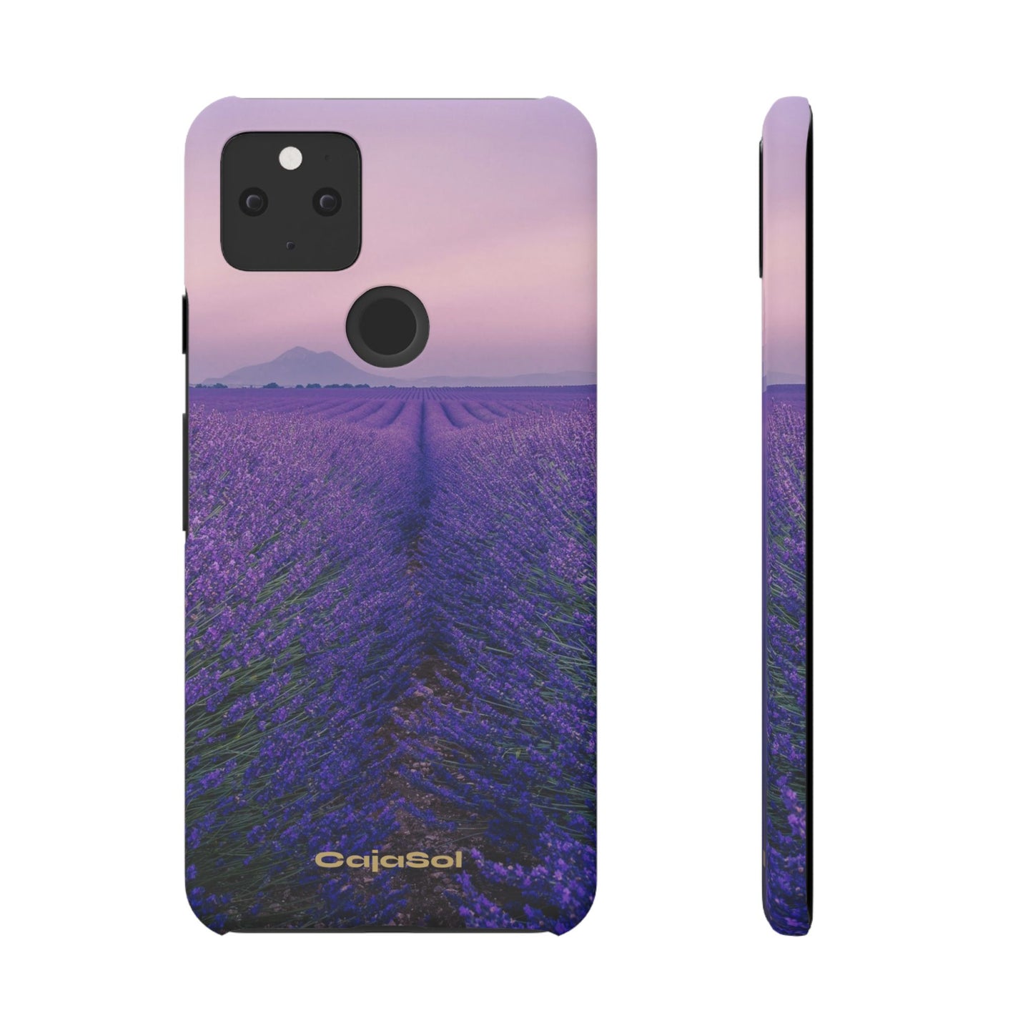 Lavender Fields Cajasol - A Floral Touch for Nature Lovers