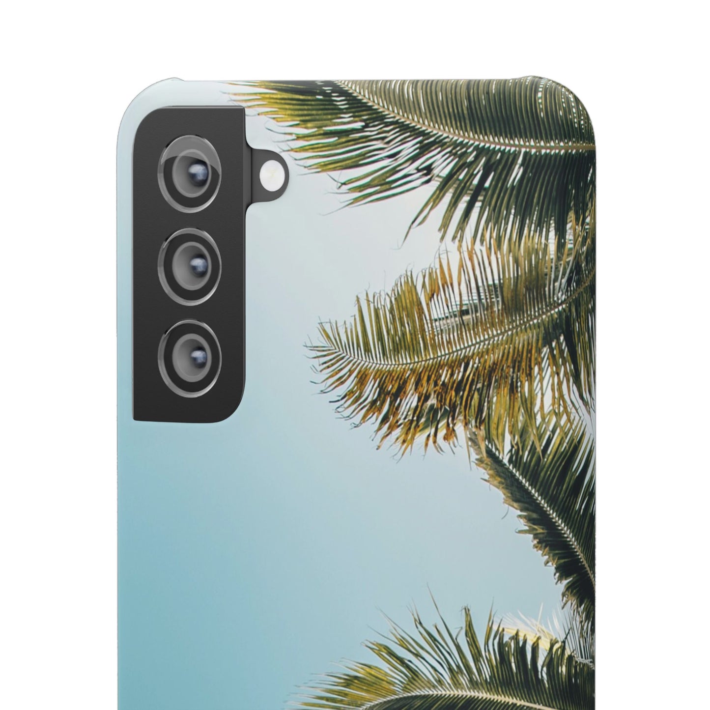 Tropical Palm Cajasol – Summer Vibes for Beach Lovers