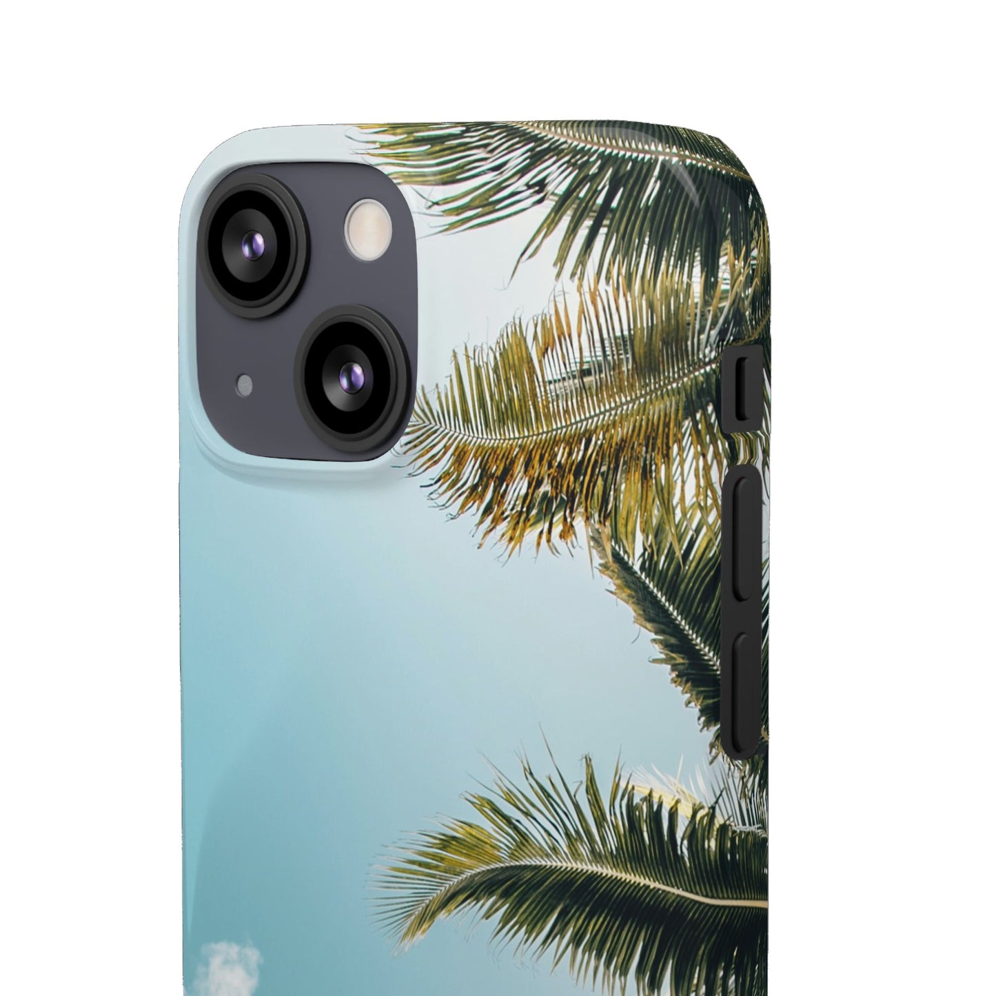 Tropical Palm Cajasol – Summer Vibes for Beach Lovers