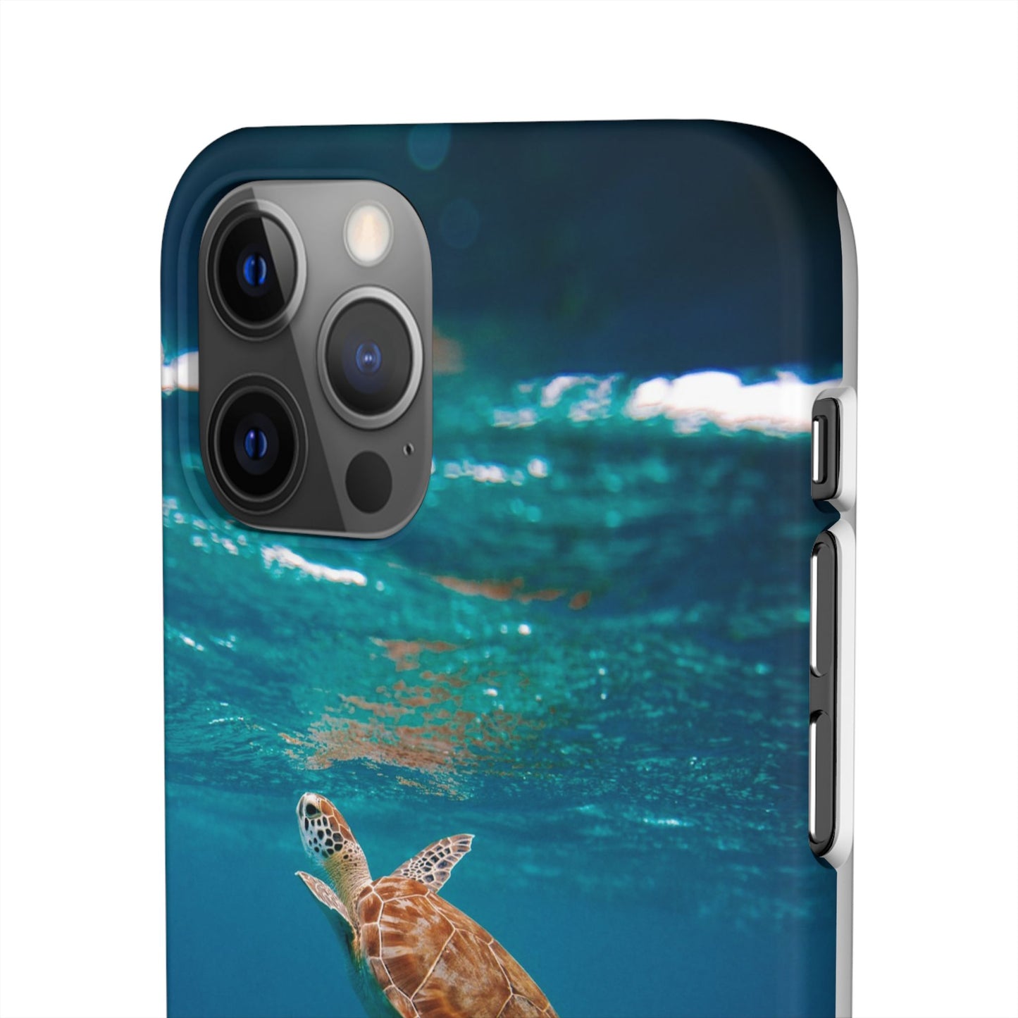 Sea Turtle Cajasol - Perfect for Beach Lovers