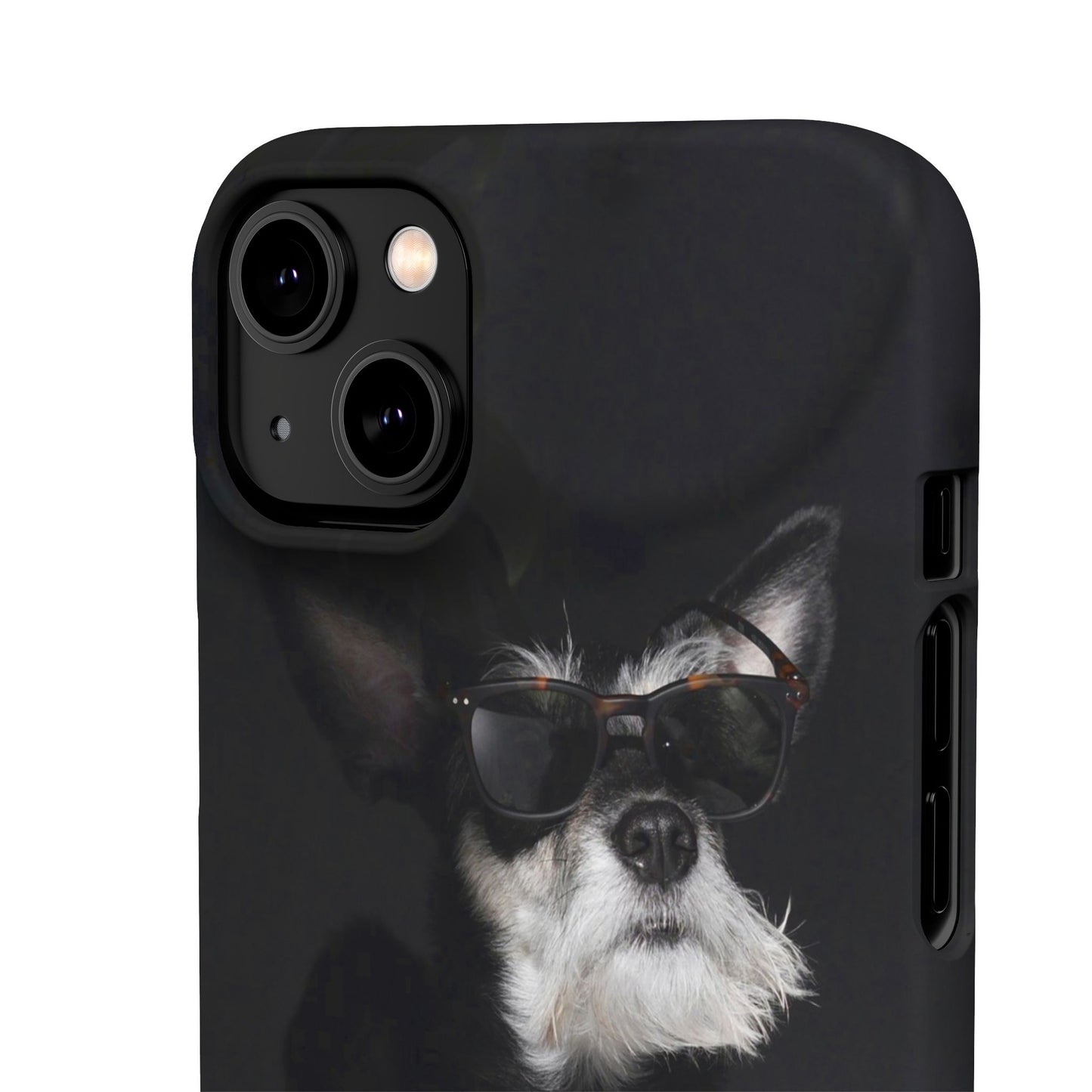 Cool Dog Cajasol - Stylish Pet
