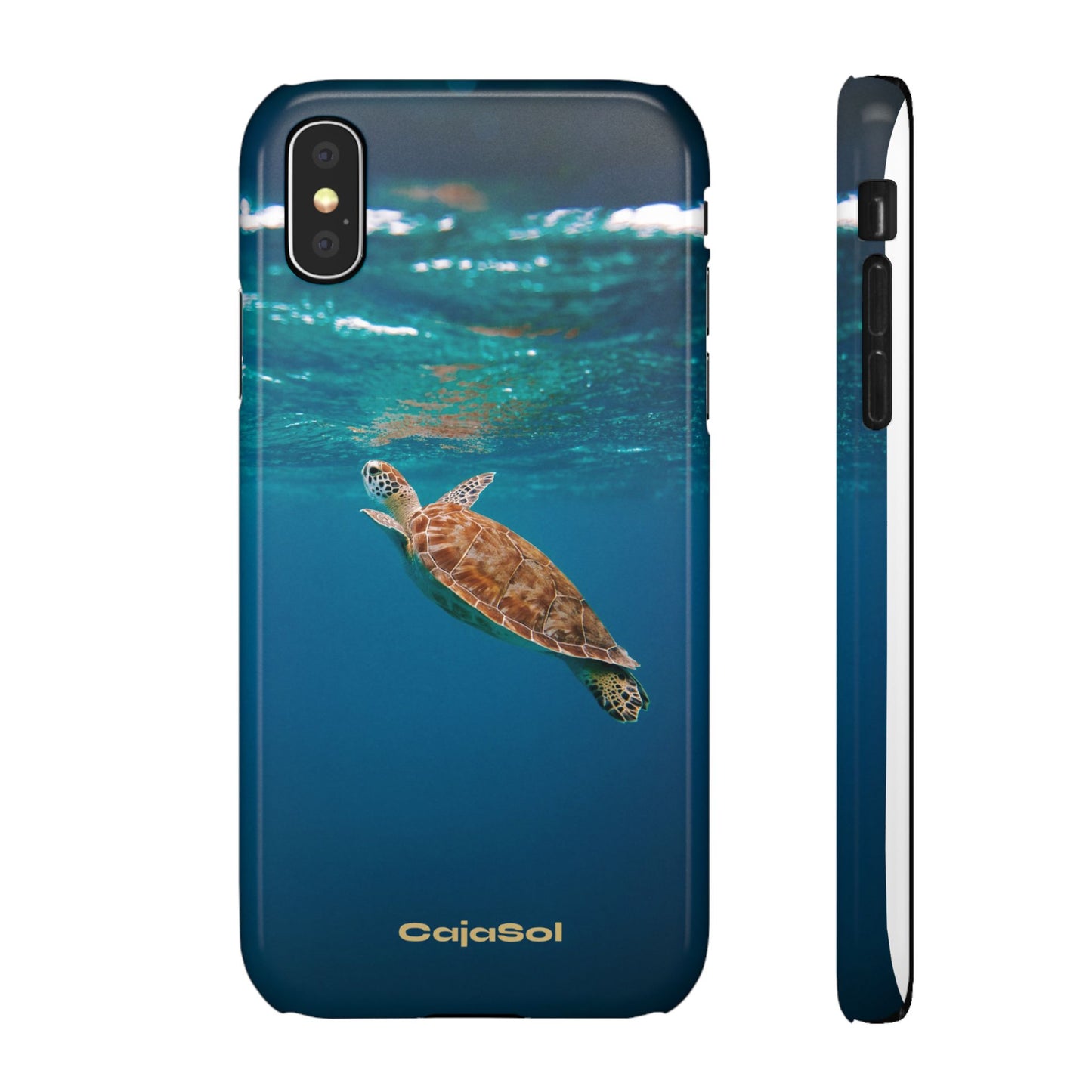 Sea Turtle Cajasol - Perfect for Beach Lovers