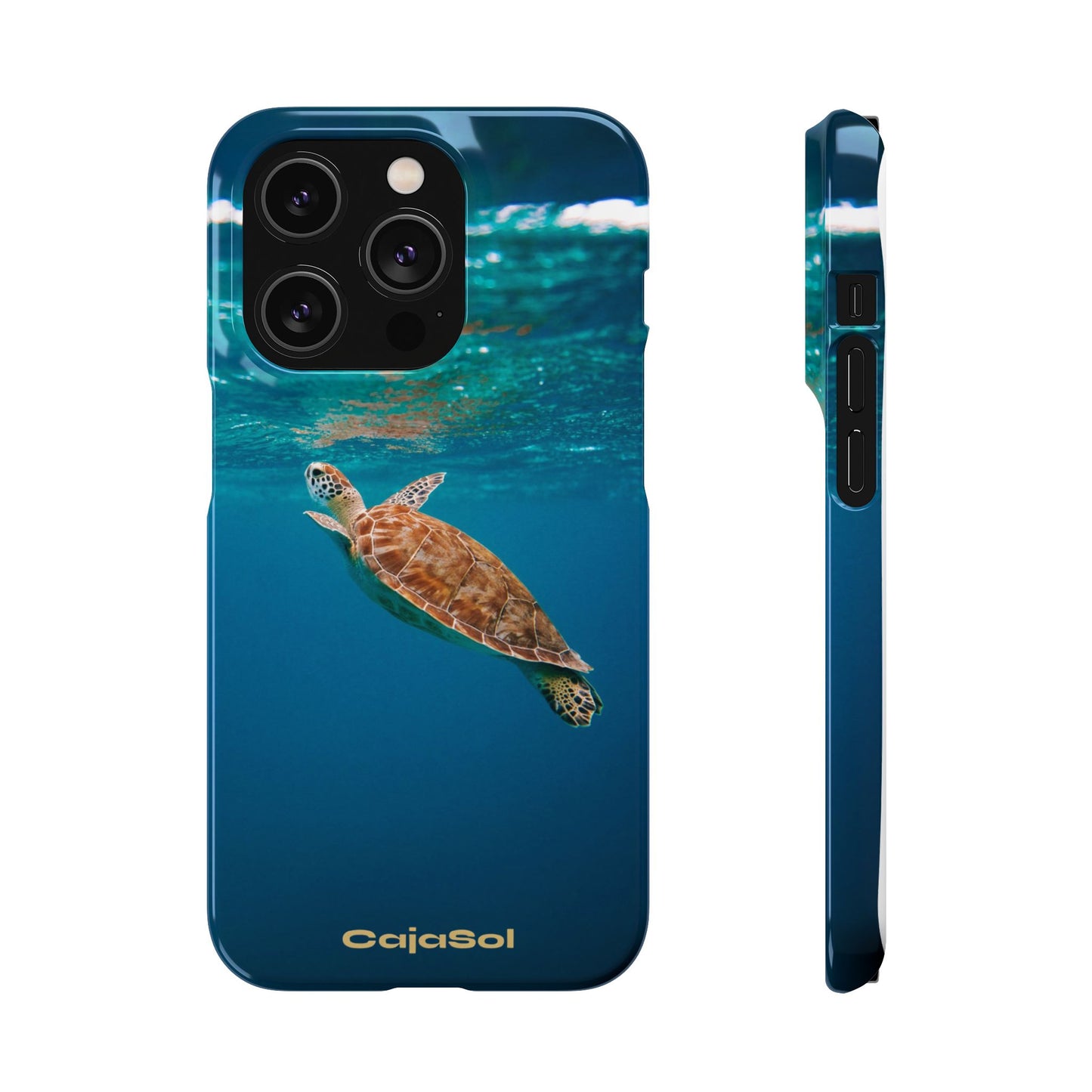 Sea Turtle Cajasol - Perfect for Beach Lovers