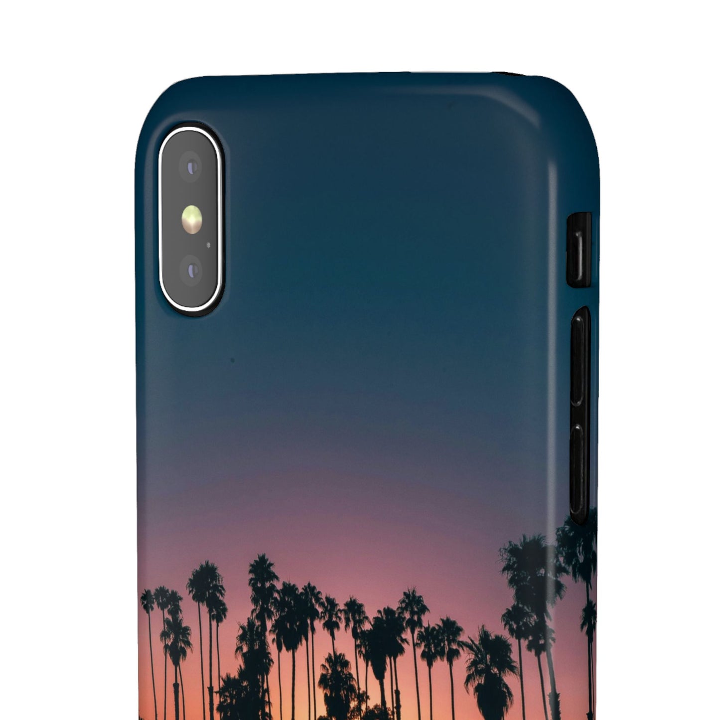 Tropical Sunset Cajasol - Vibrant Palm Tree