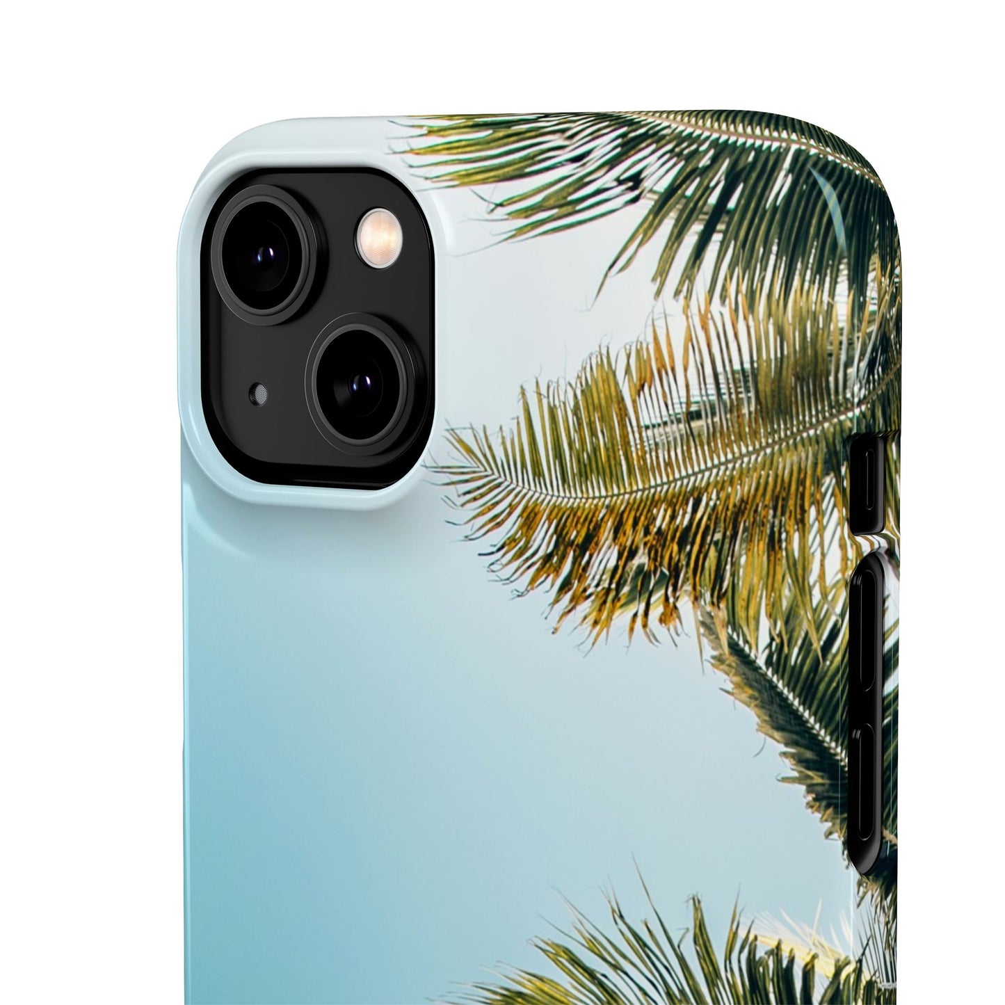 Tropical Palm Cajasol – Summer Vibes for Beach Lovers