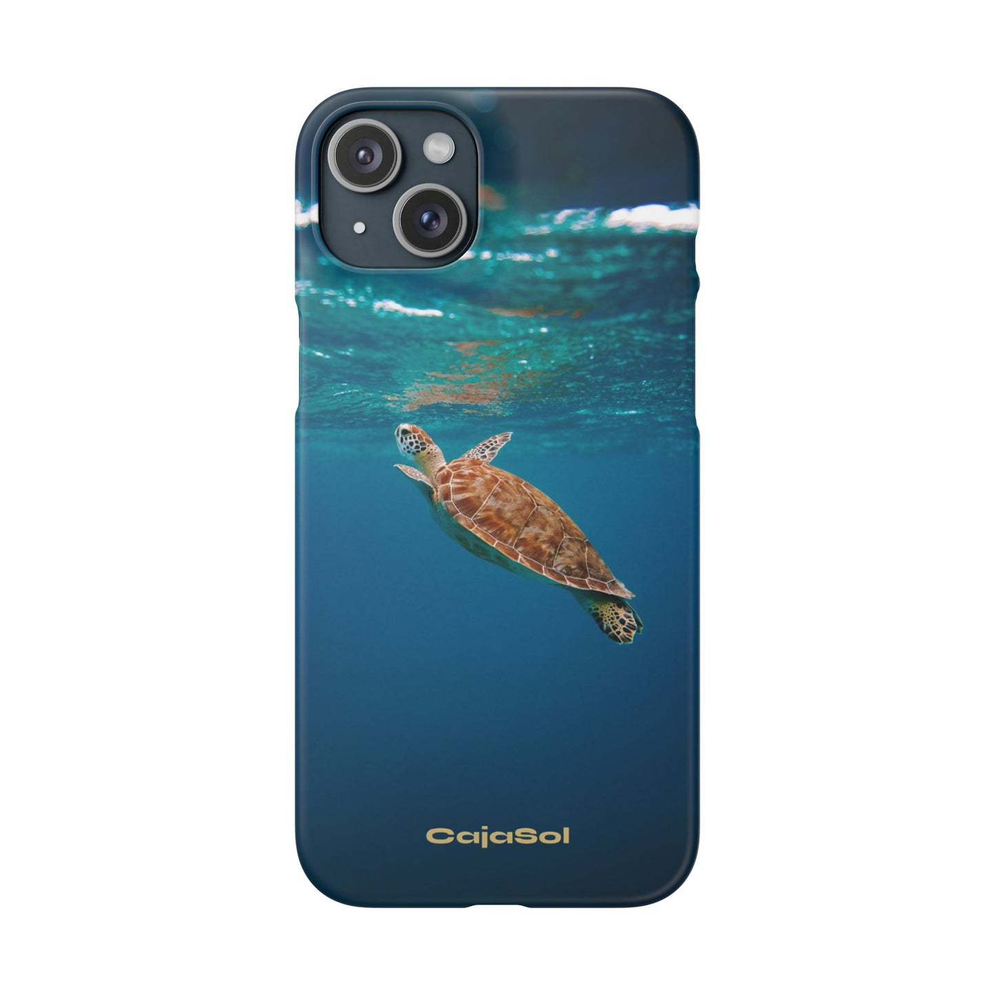 Sea Turtle Cajasol - Perfect for Beach Lovers