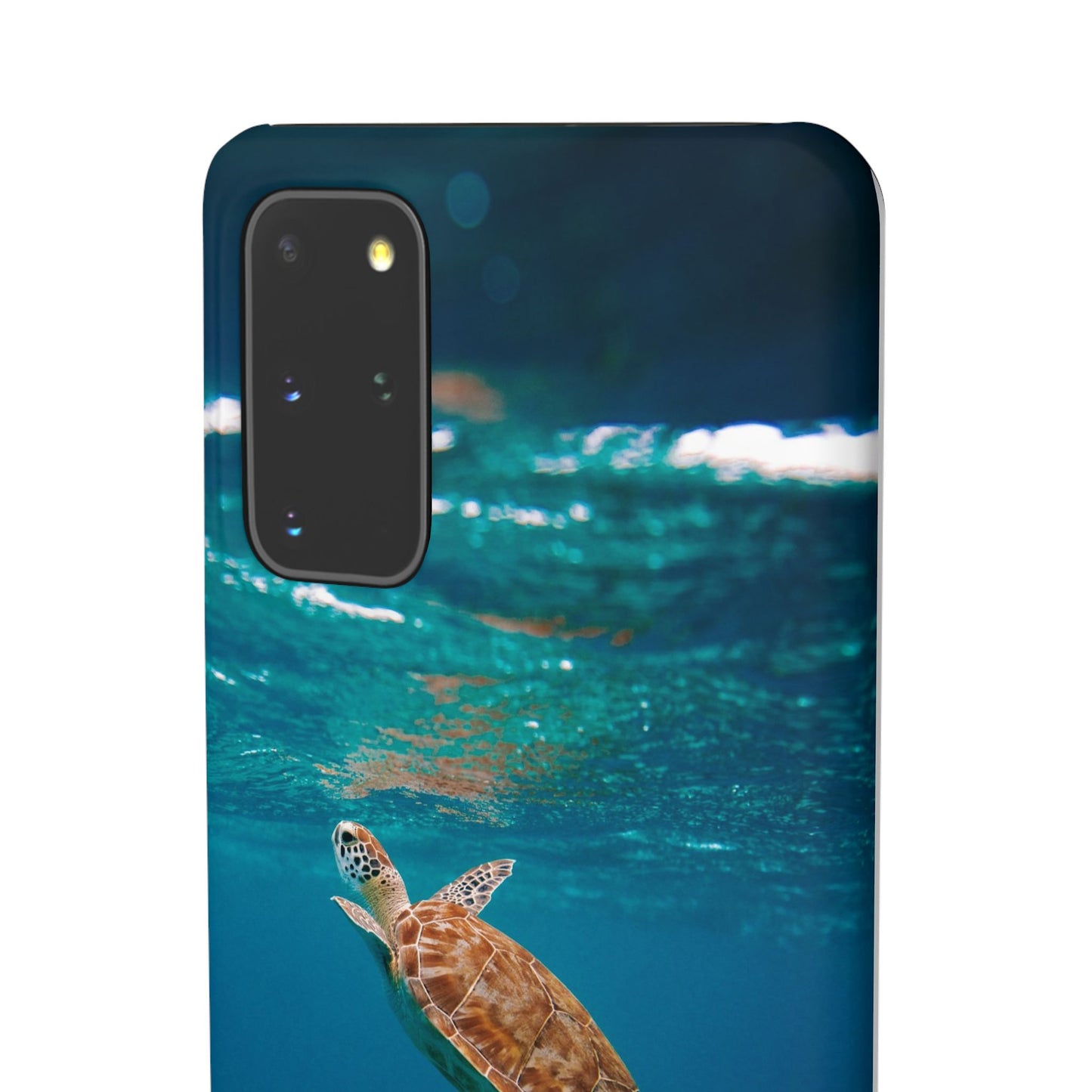 Sea Turtle Cajasol - Perfect for Beach Lovers