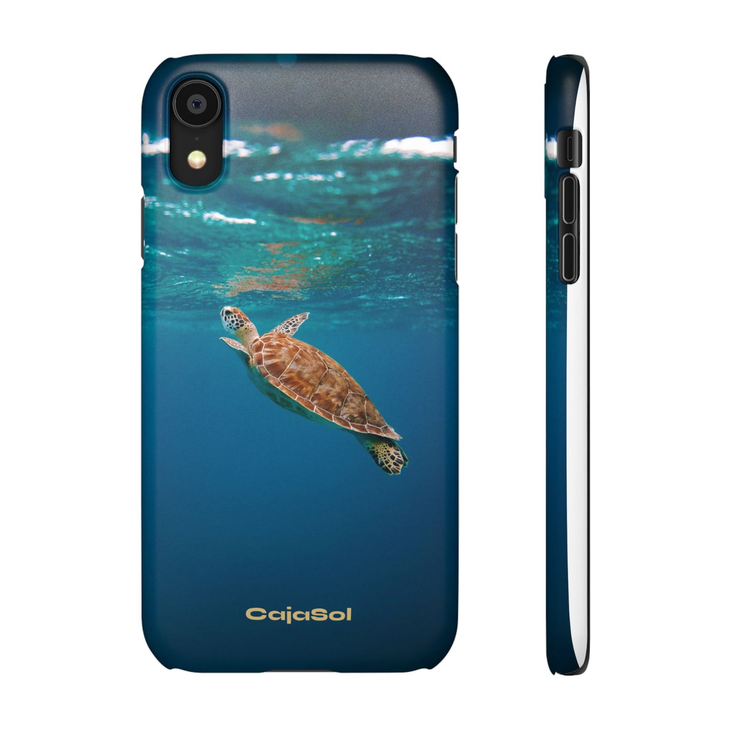 Sea Turtle Cajasol - Perfect for Beach Lovers