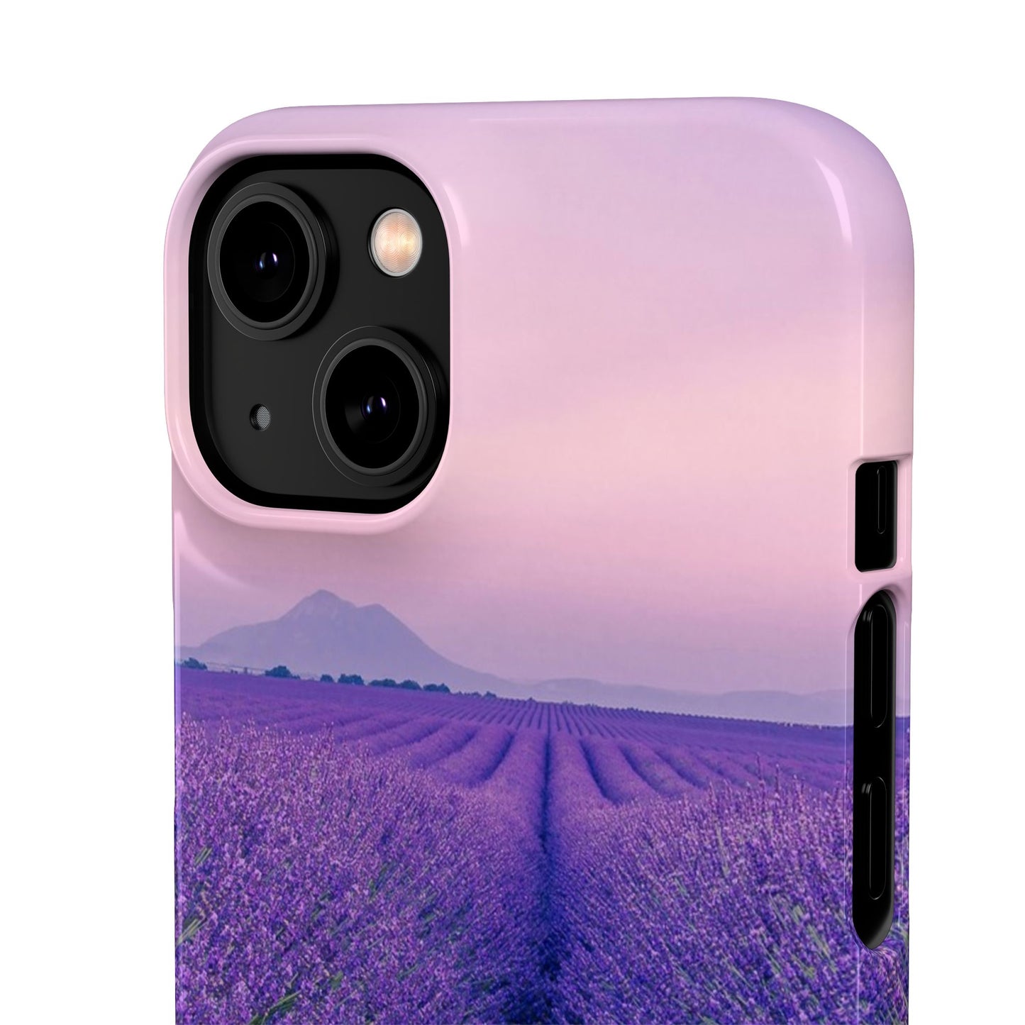 Lavender Fields Cajasol - A Floral Touch for Nature Lovers