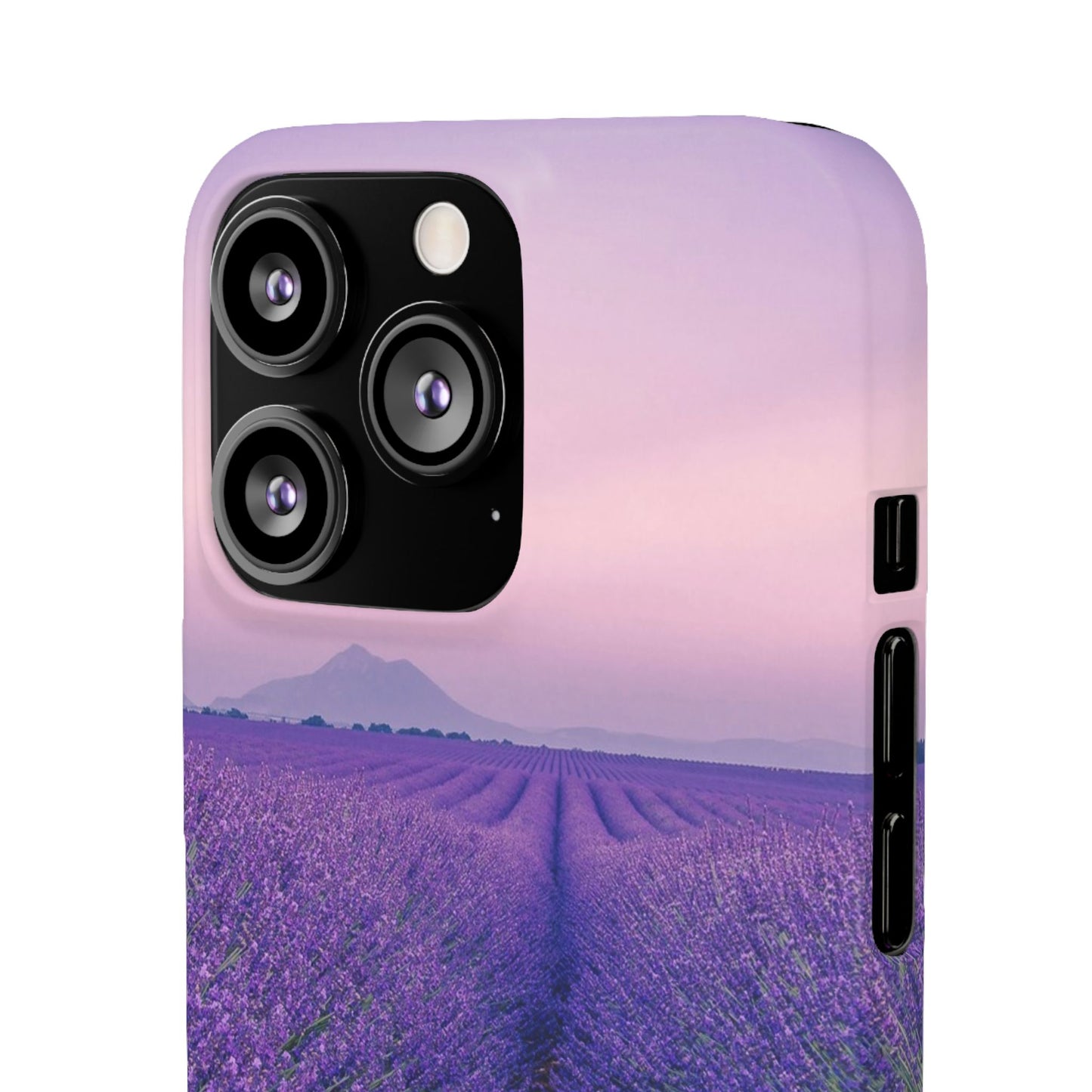 Lavender Fields Cajasol - A Floral Touch for Nature Lovers