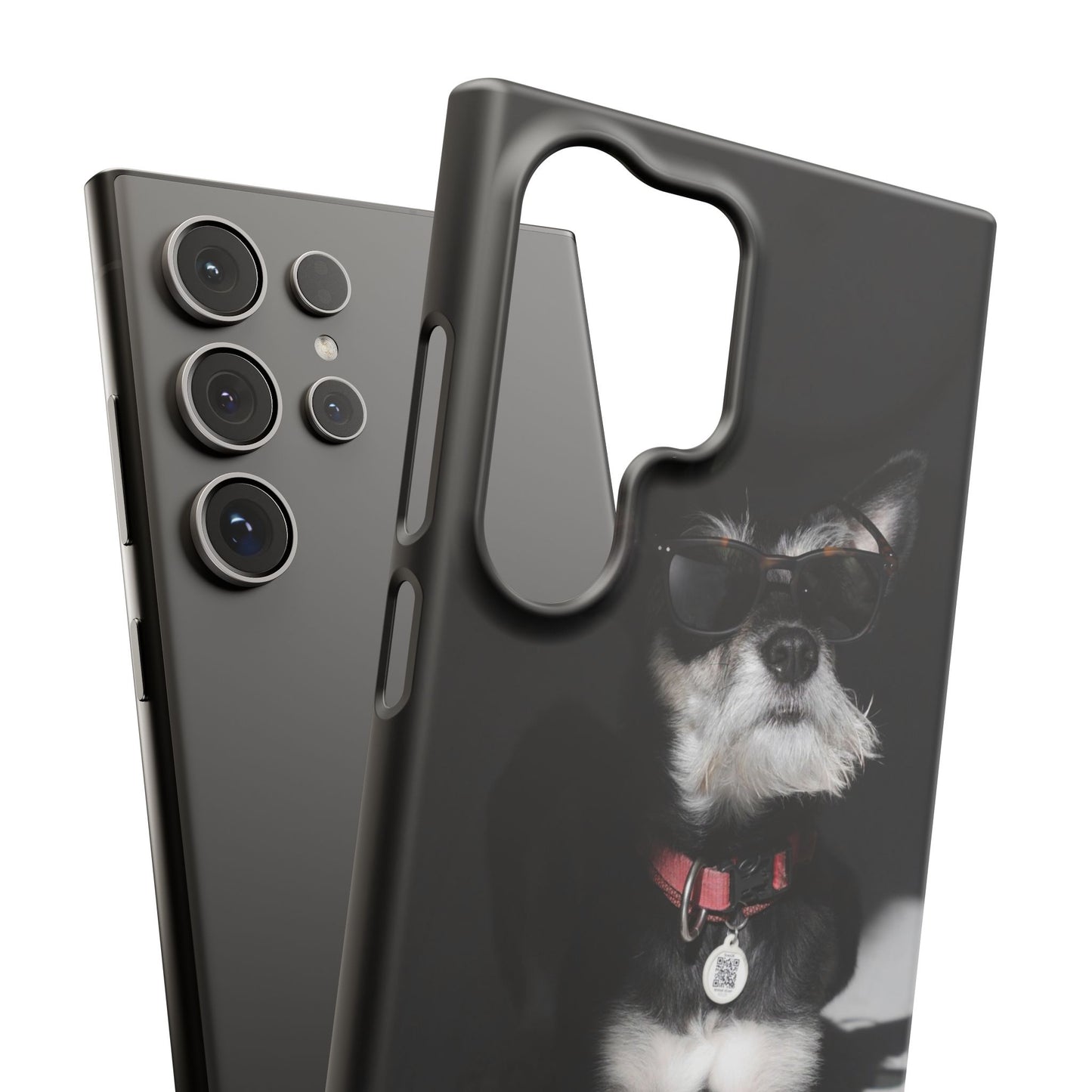 Cool Dog Cajasol - Stylish Pet