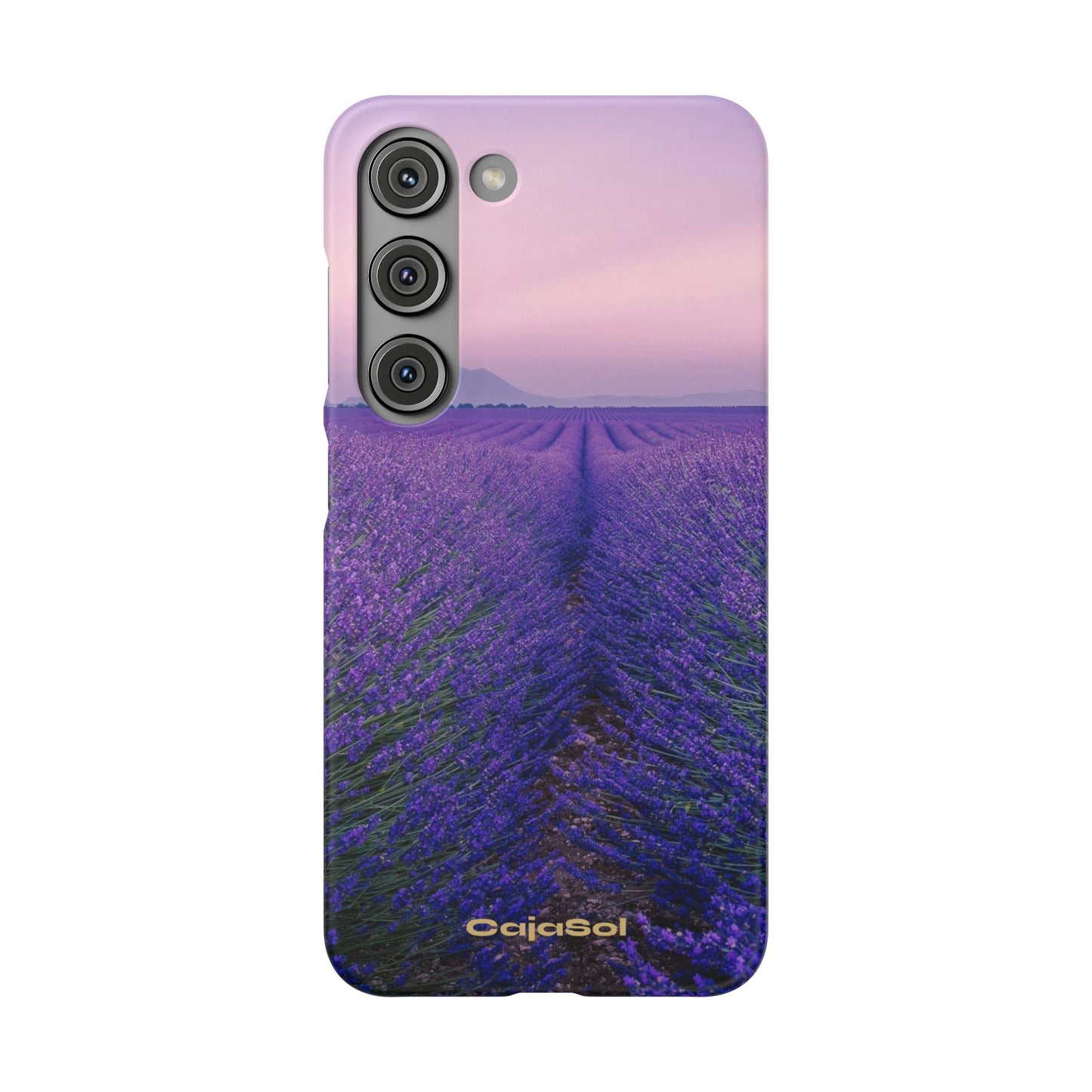 Lavender Fields Cajasol - A Floral Touch for Nature Lovers