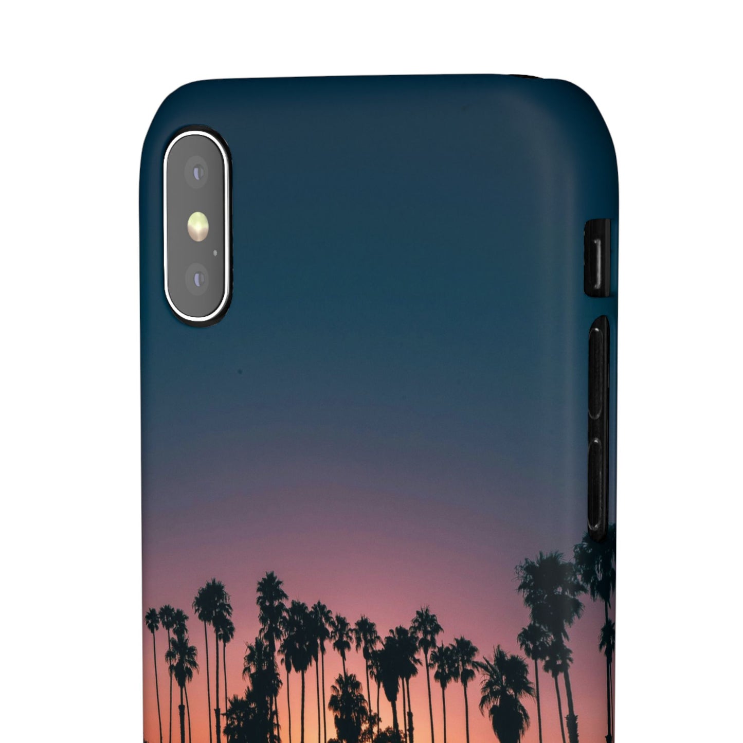 Tropical Sunset Cajasol - Vibrant Palm Tree